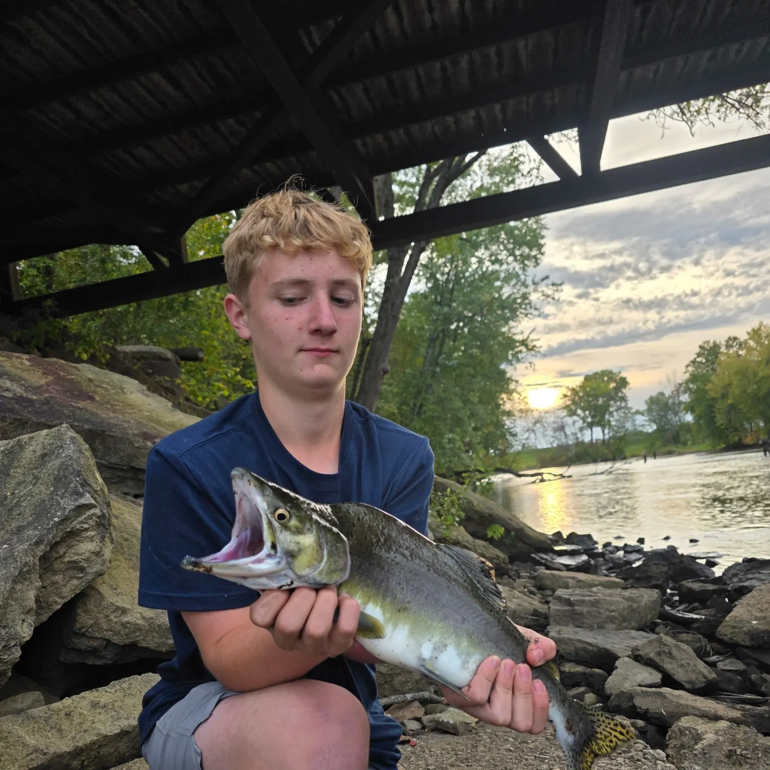Pink salmon caught on Fishbrain