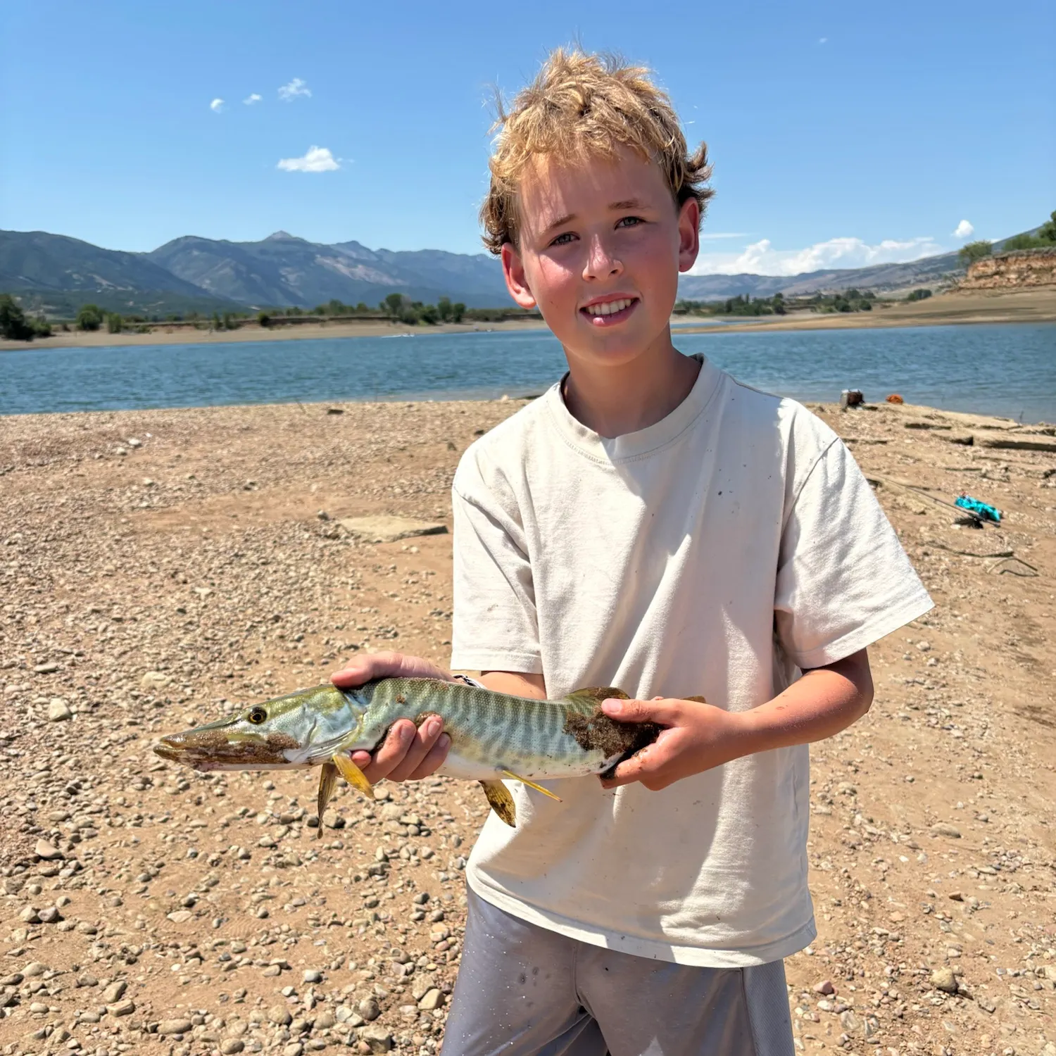 The most recent Tiger muskellunge catches on Fishbrain