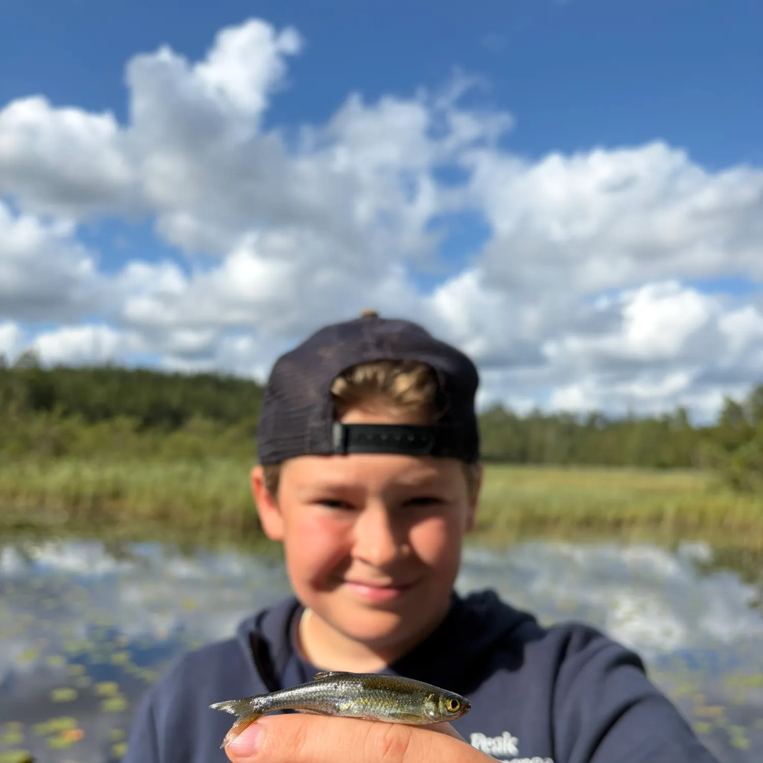 The most recent Sunbleak catches on Fishbrain