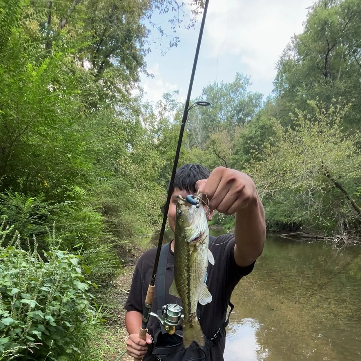 The most recent Alabama bass catches on Fishbrain