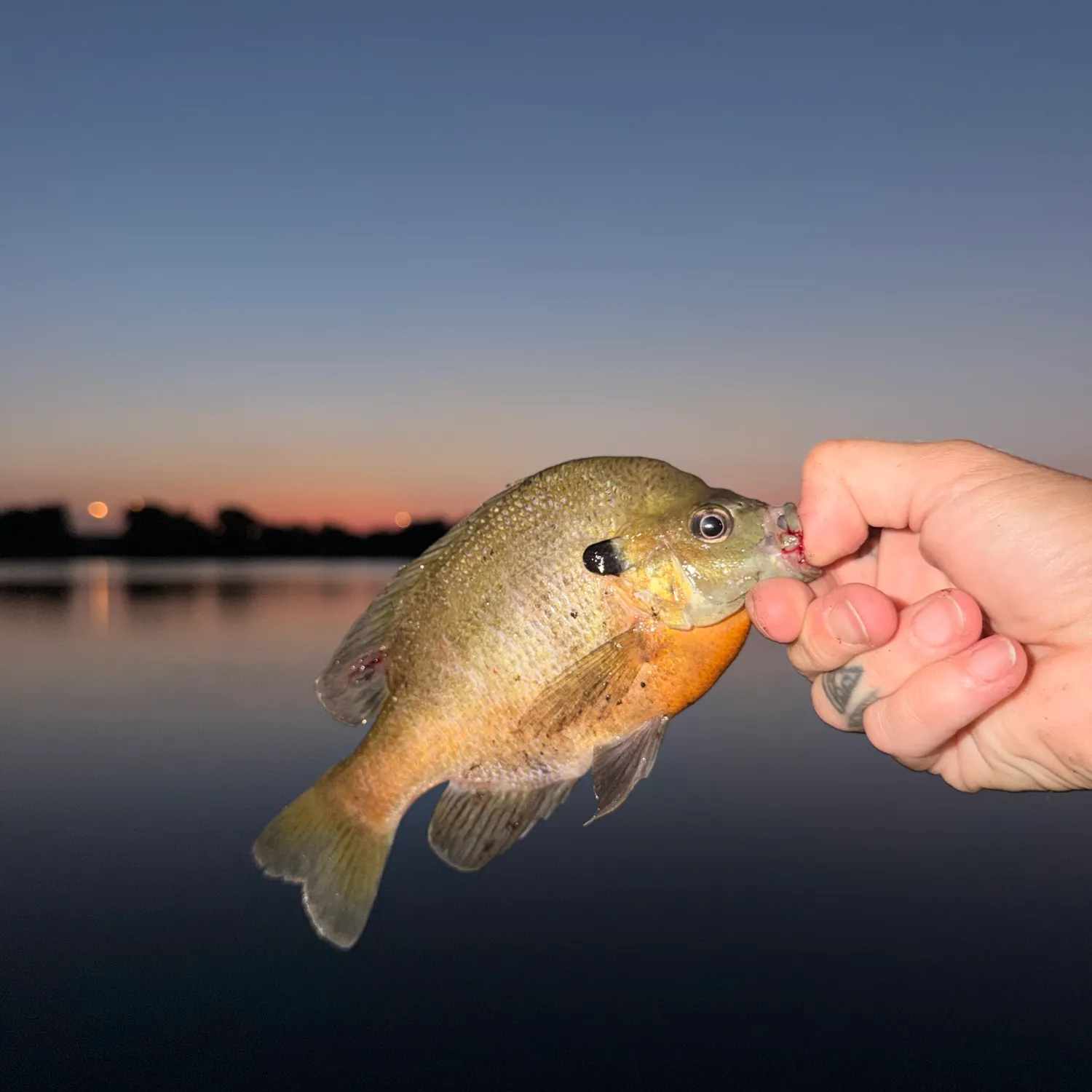 catch