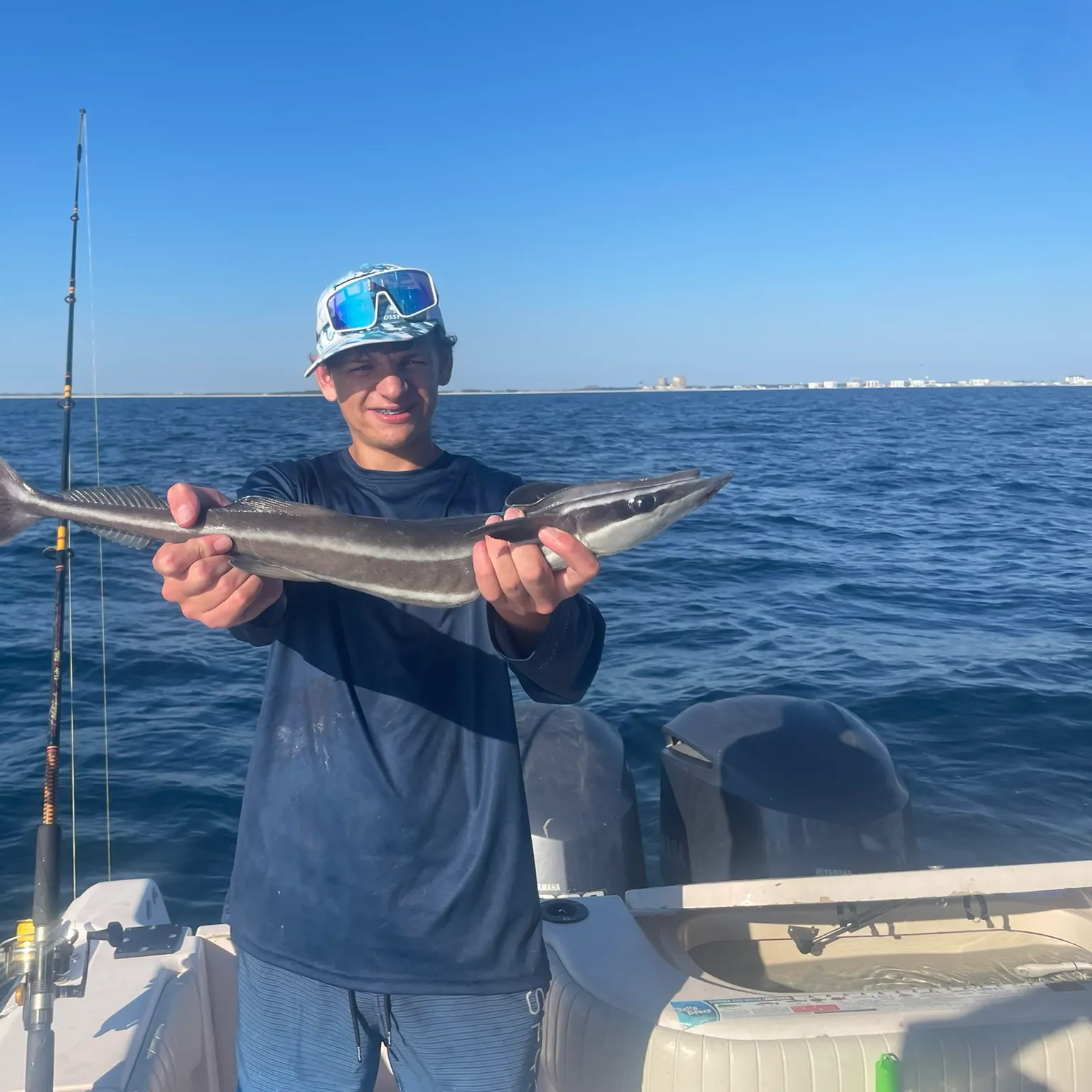 The most recent Common remora catches on Fishbrain