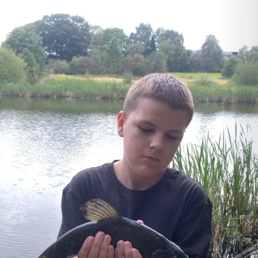 The most recent Tench catches on Fishbrain