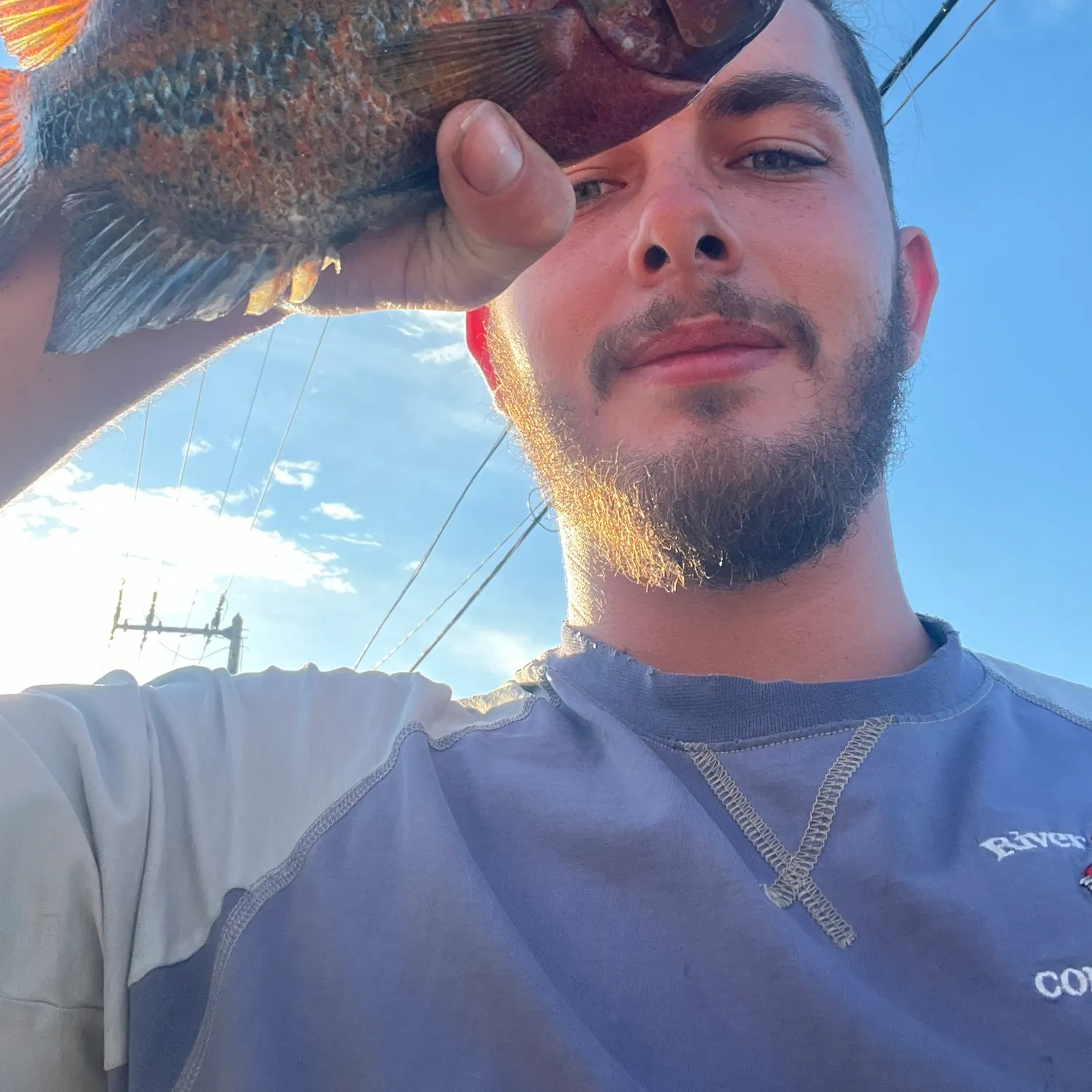 The most recent Redhead cichlid catches on Fishbrain