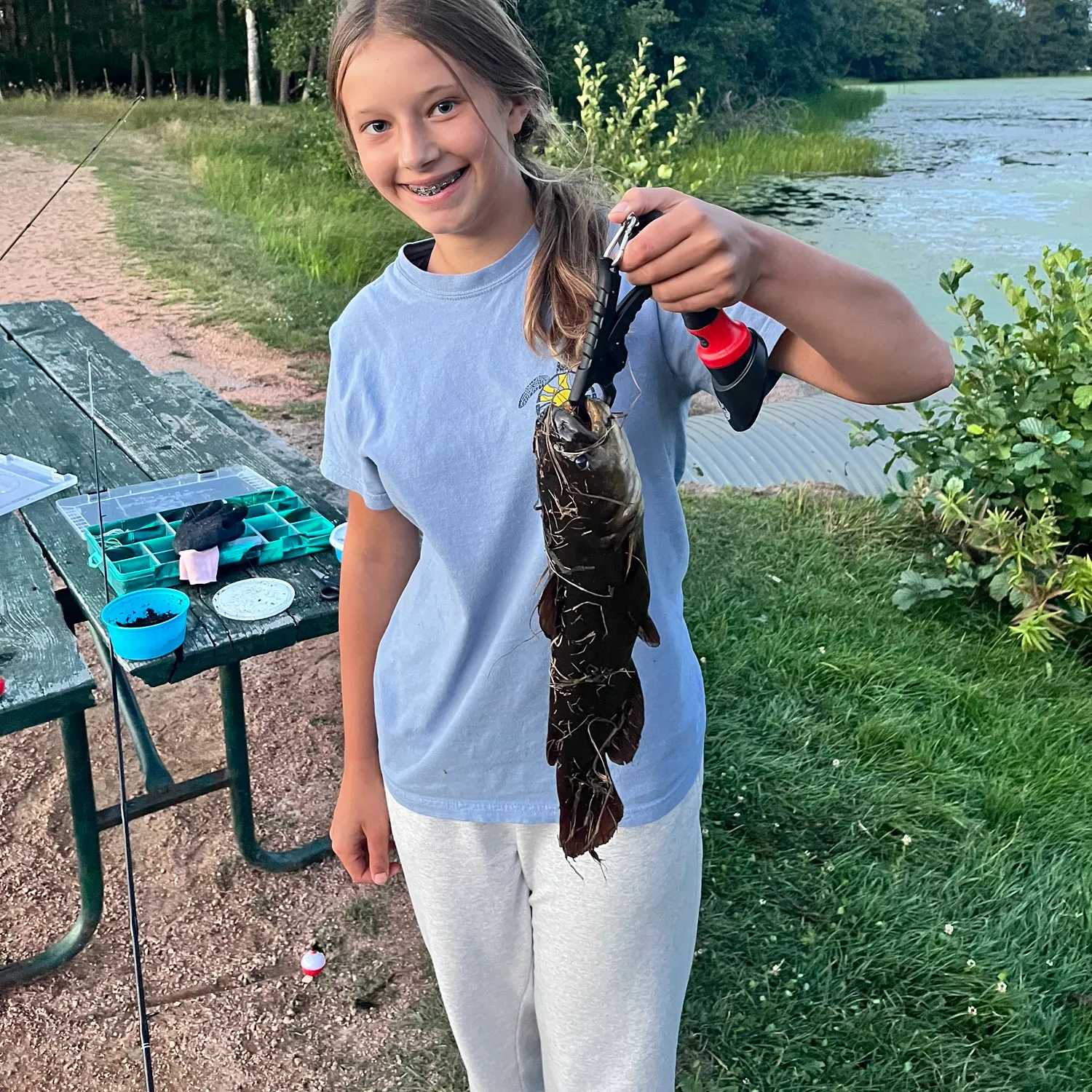 Flathead catfish caught on Fishbrain