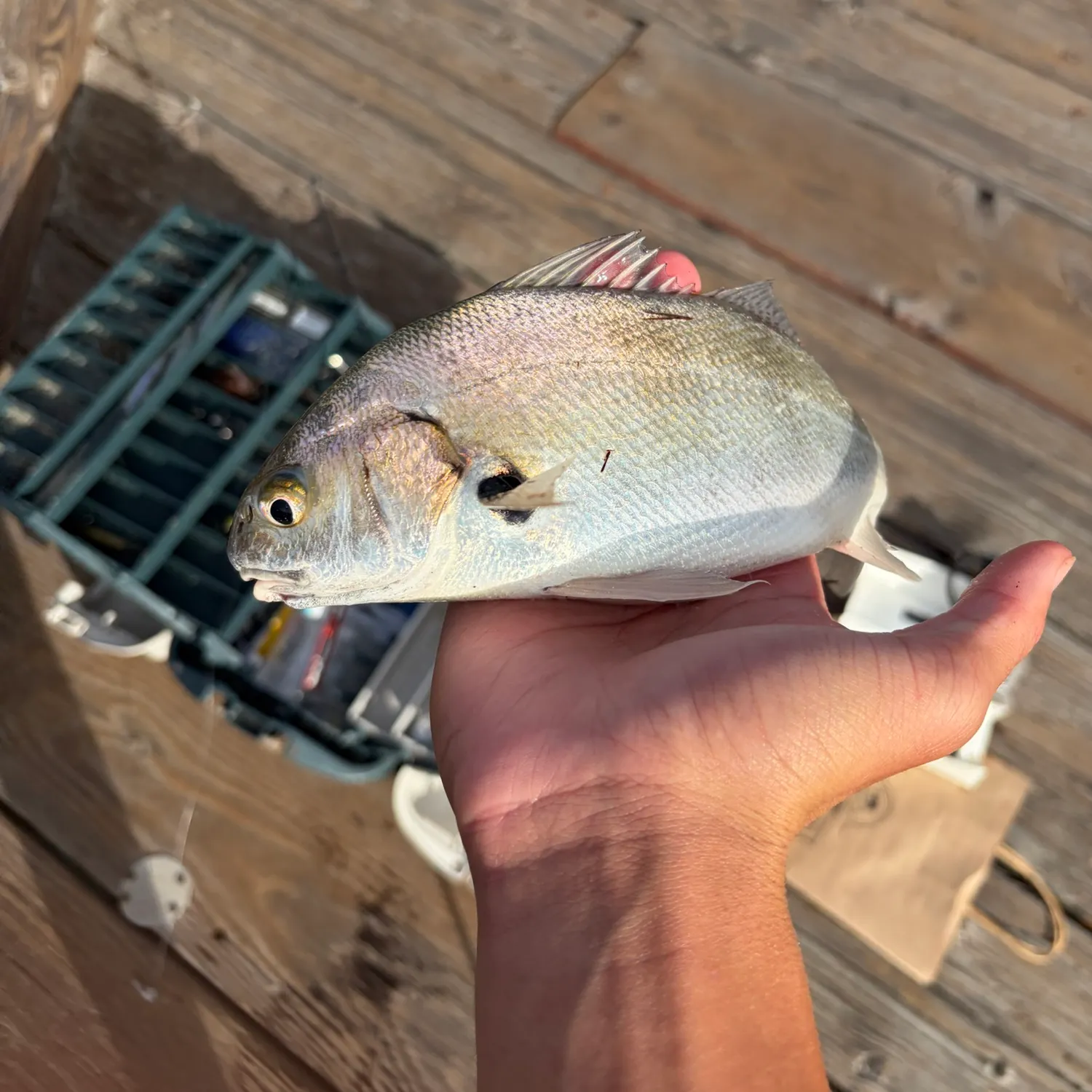 catch