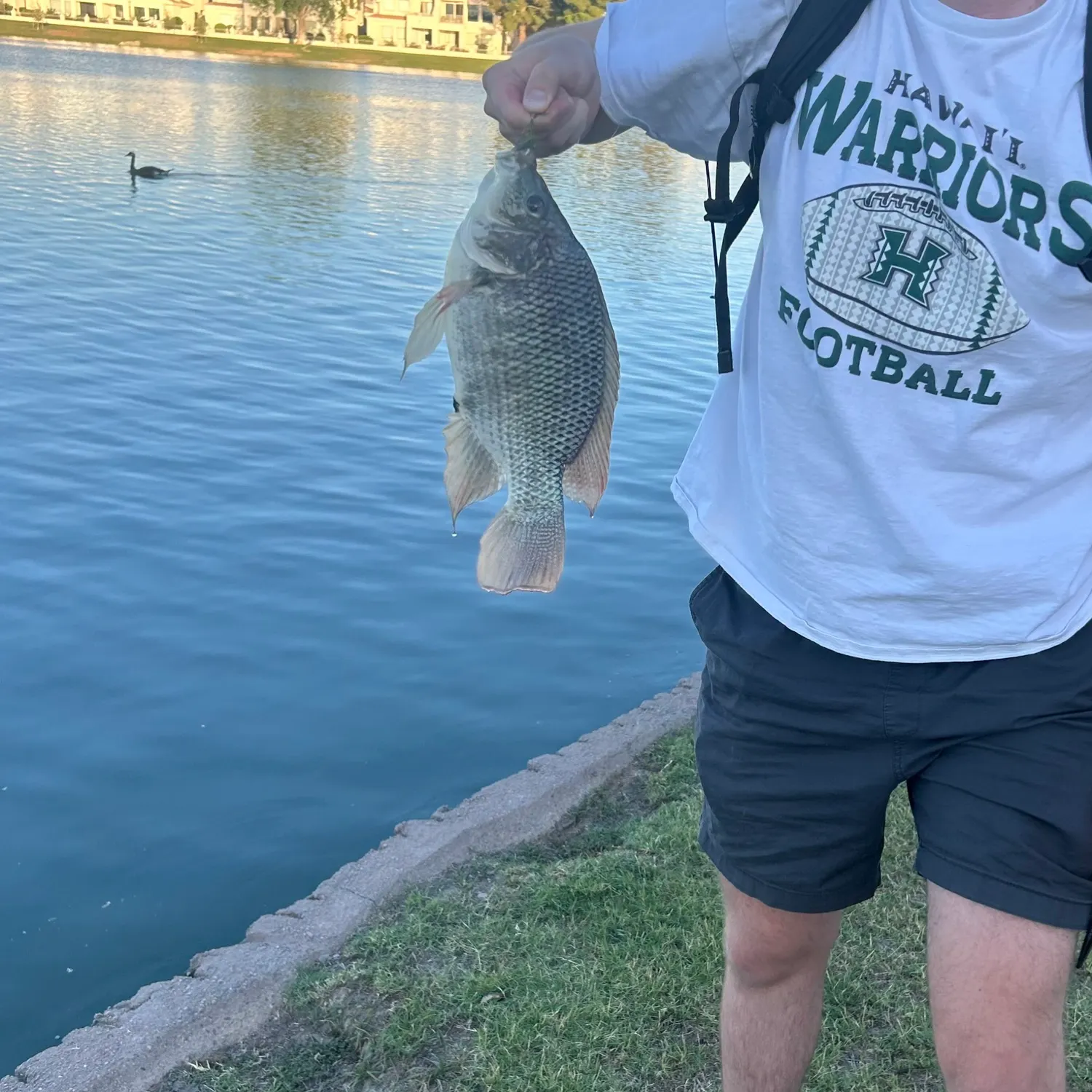 angler catch