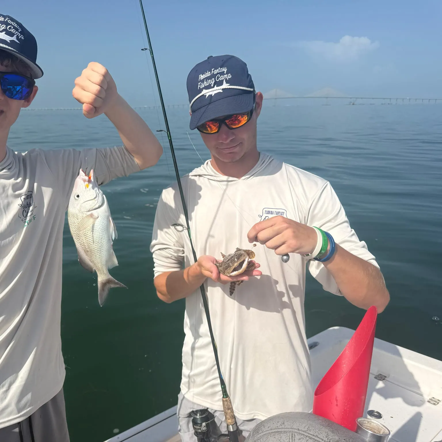 The most recent Oyster toadfish catches on Fishbrain