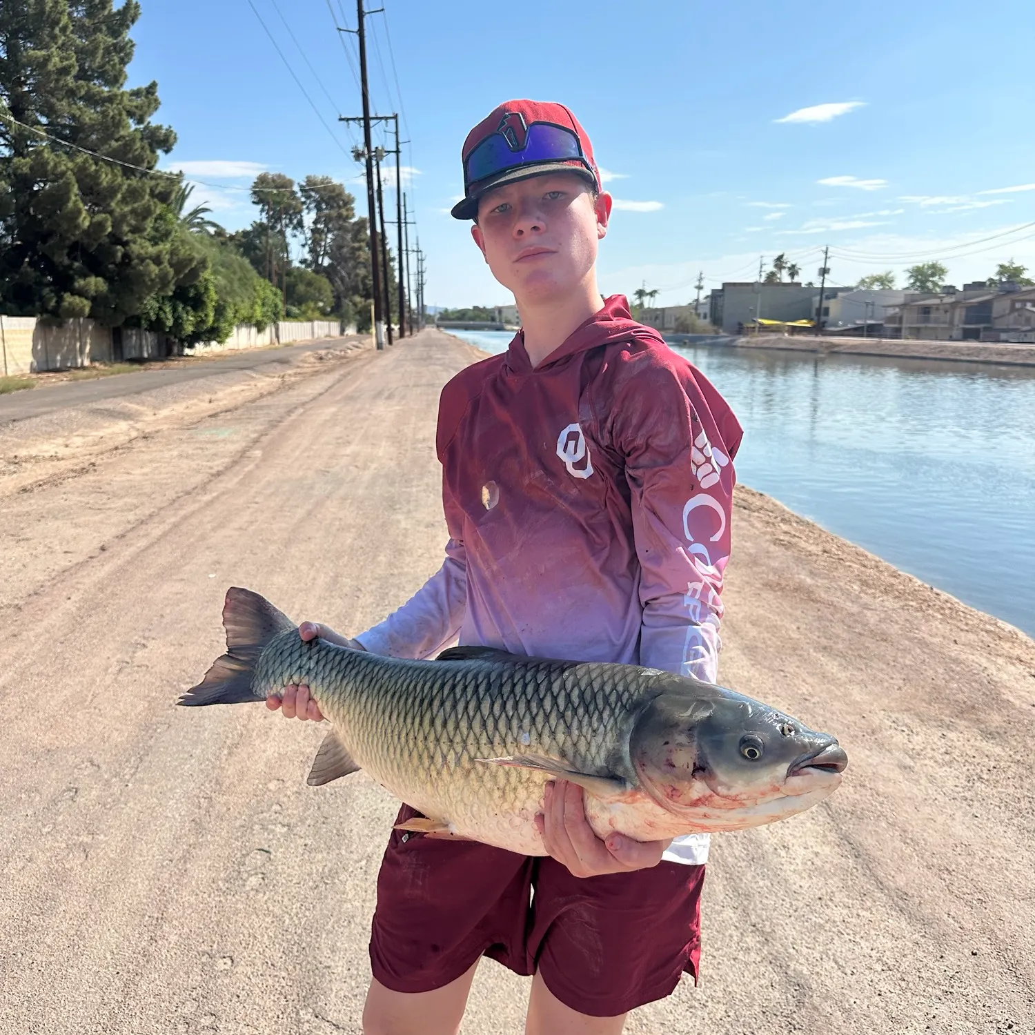 Grass carp caught on Fishbrain