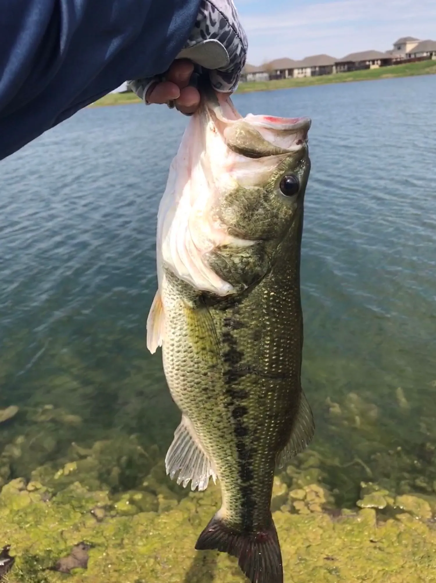 Post image from aosmdavid