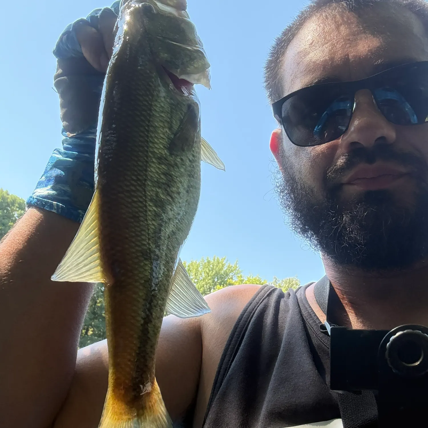 Largemouth bass caught on Fishbrain