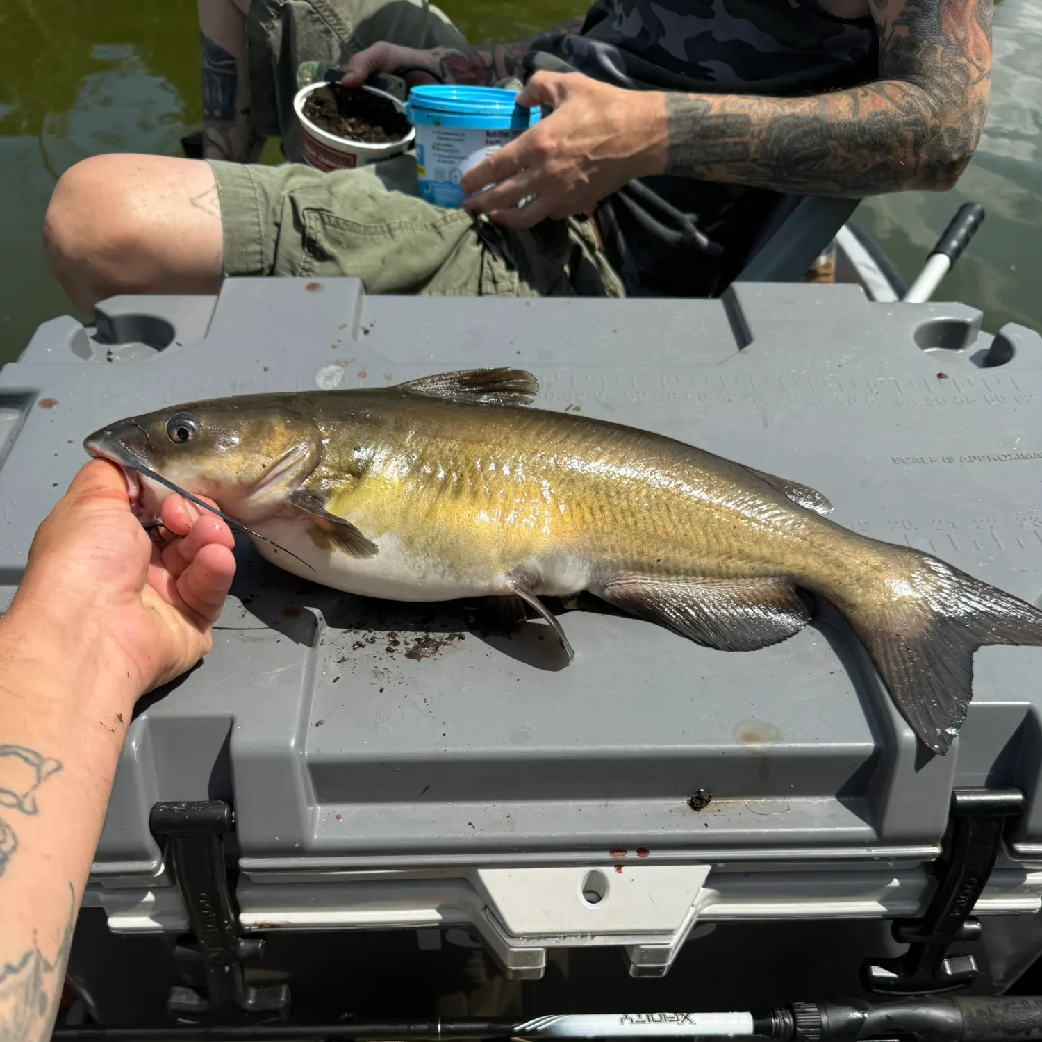 catch