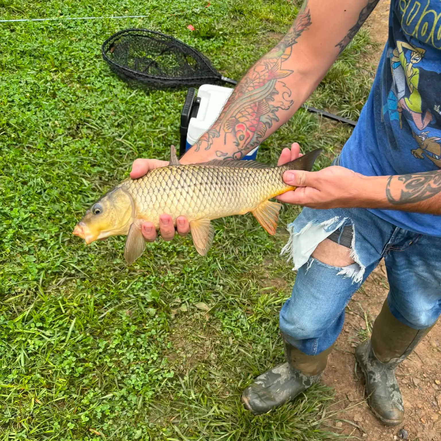catch