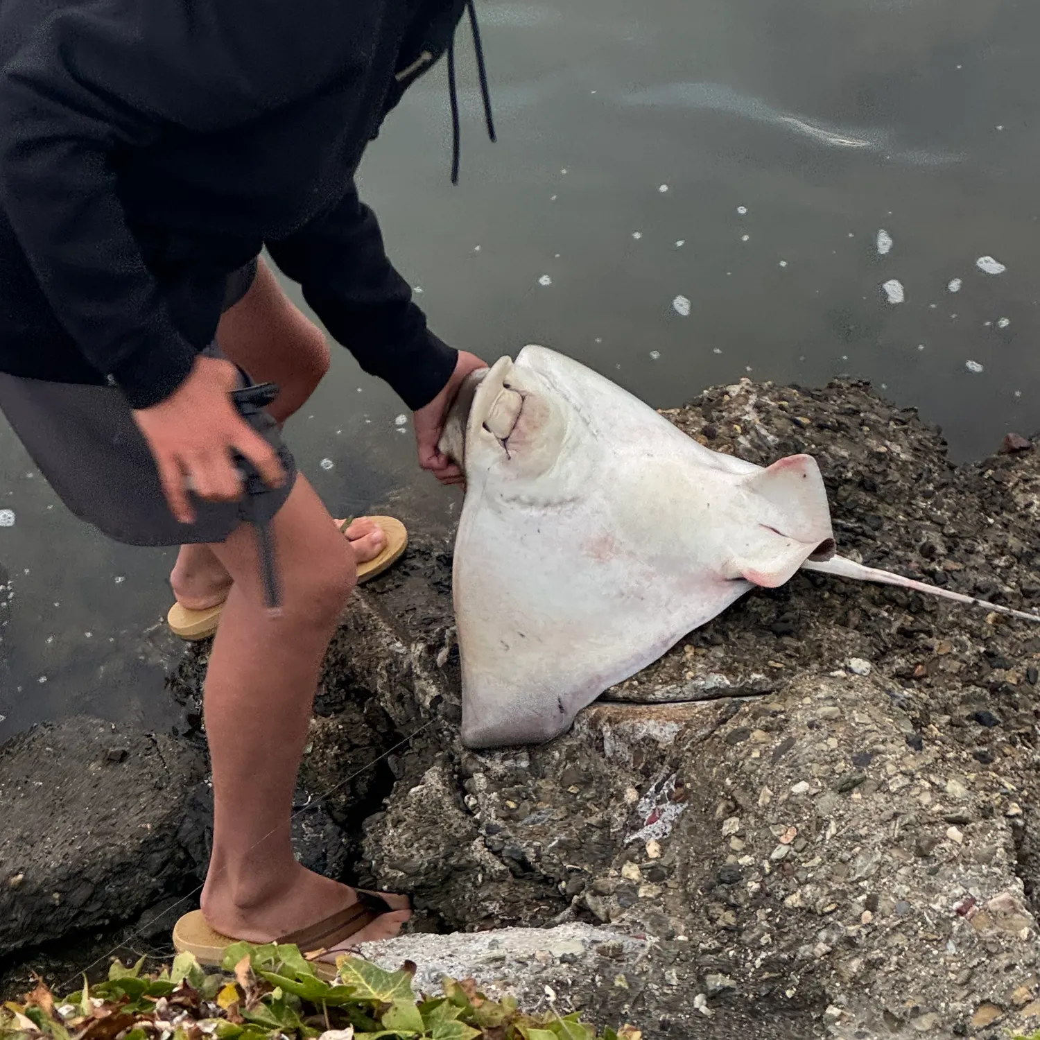 catch