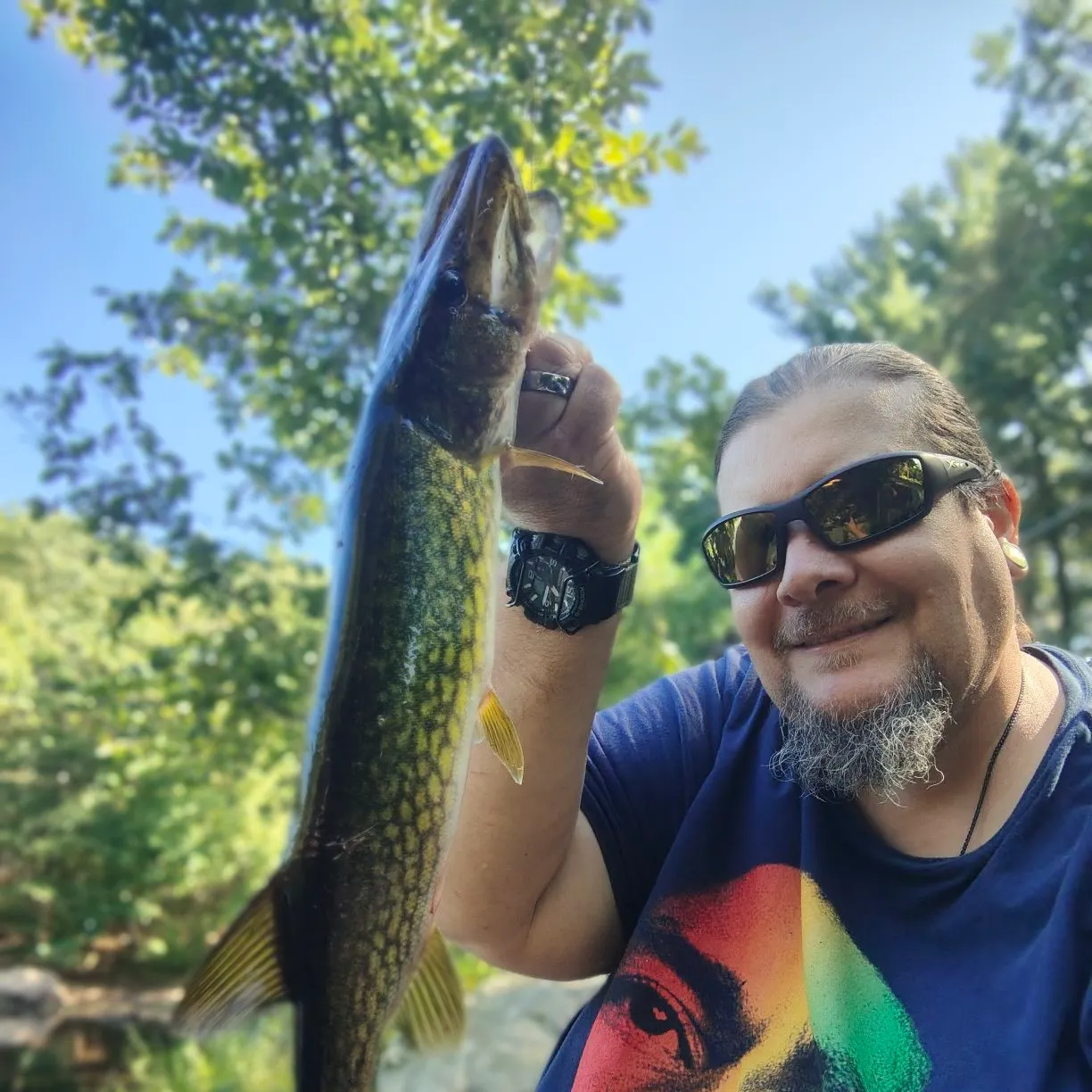 The most recent Chain pickerel catches on Fishbrain