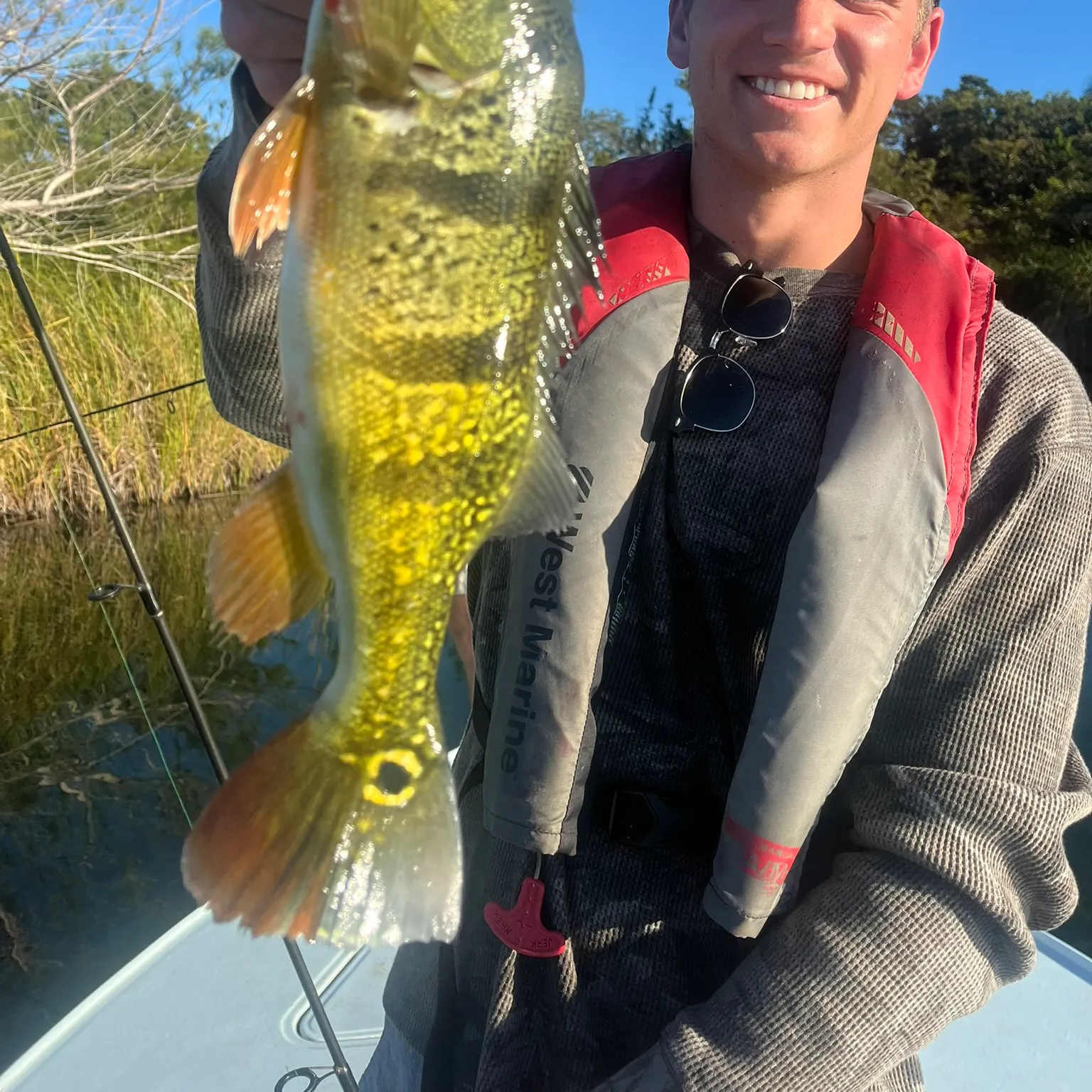 The most recent Butterfly peacock bass catches on Fishbrain