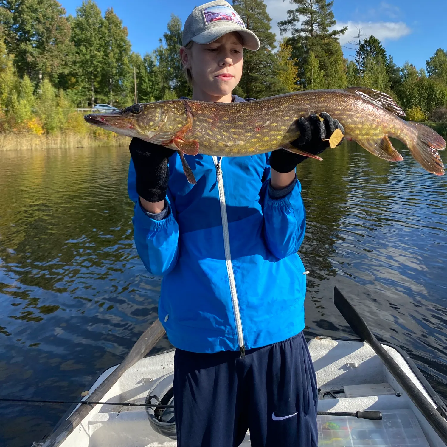 Northern pike caught on Fishbrain