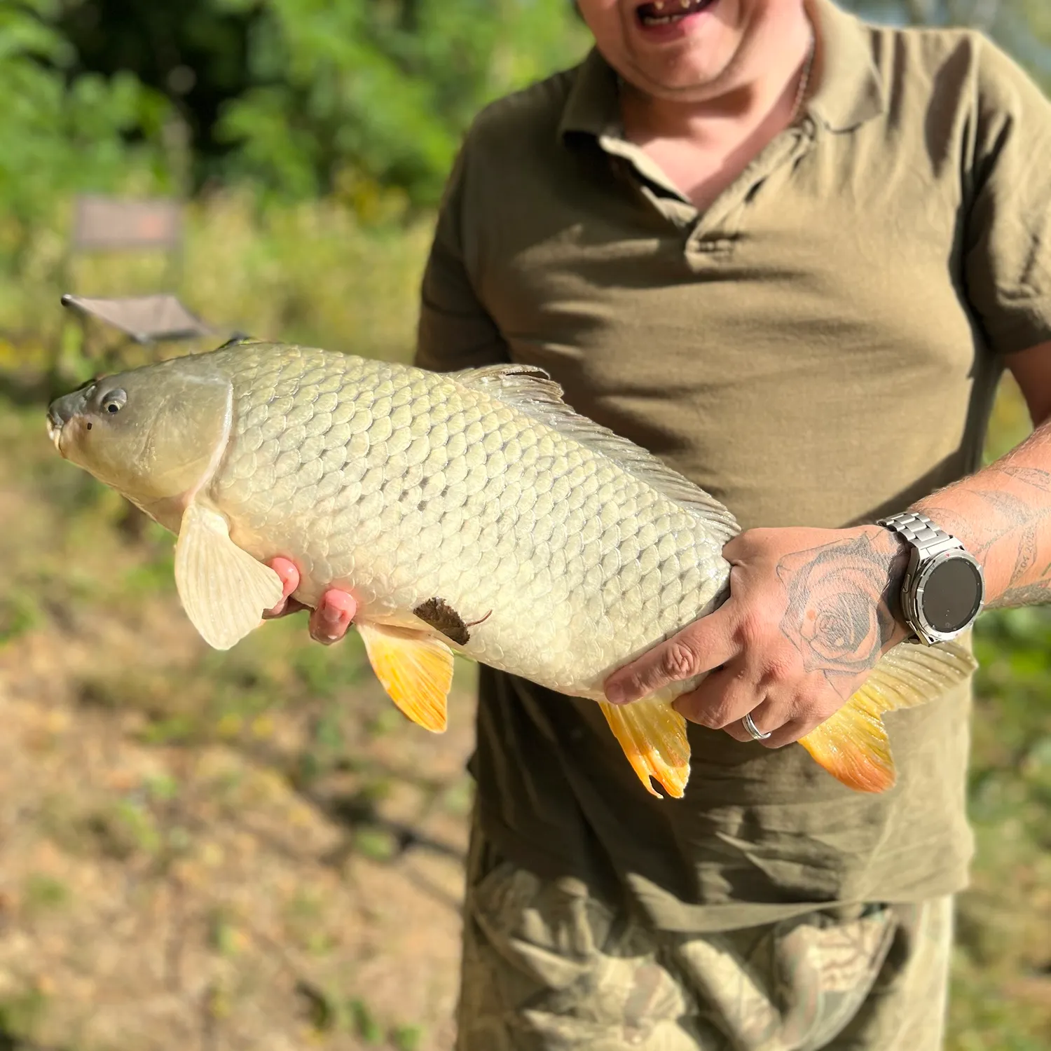 Common carp caught on Fishbrain