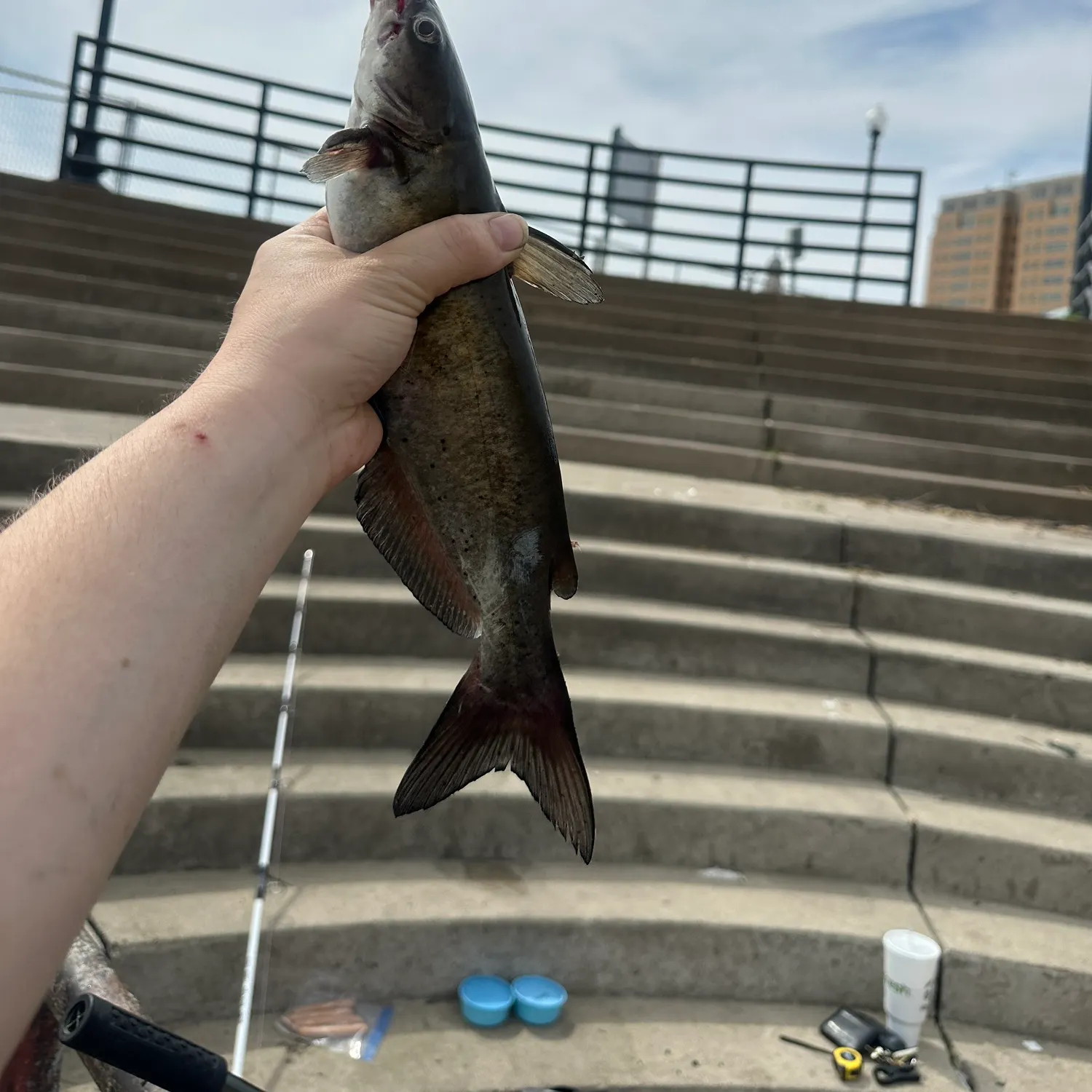 catch
