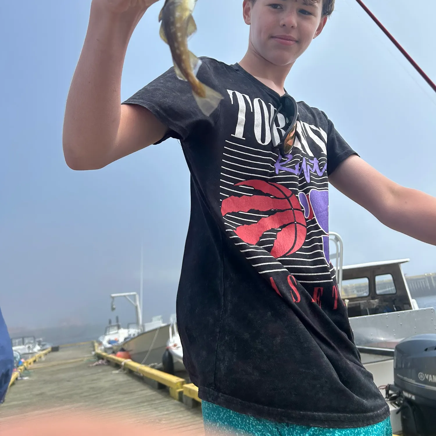 The most recent Atlantic tomcod catches on Fishbrain