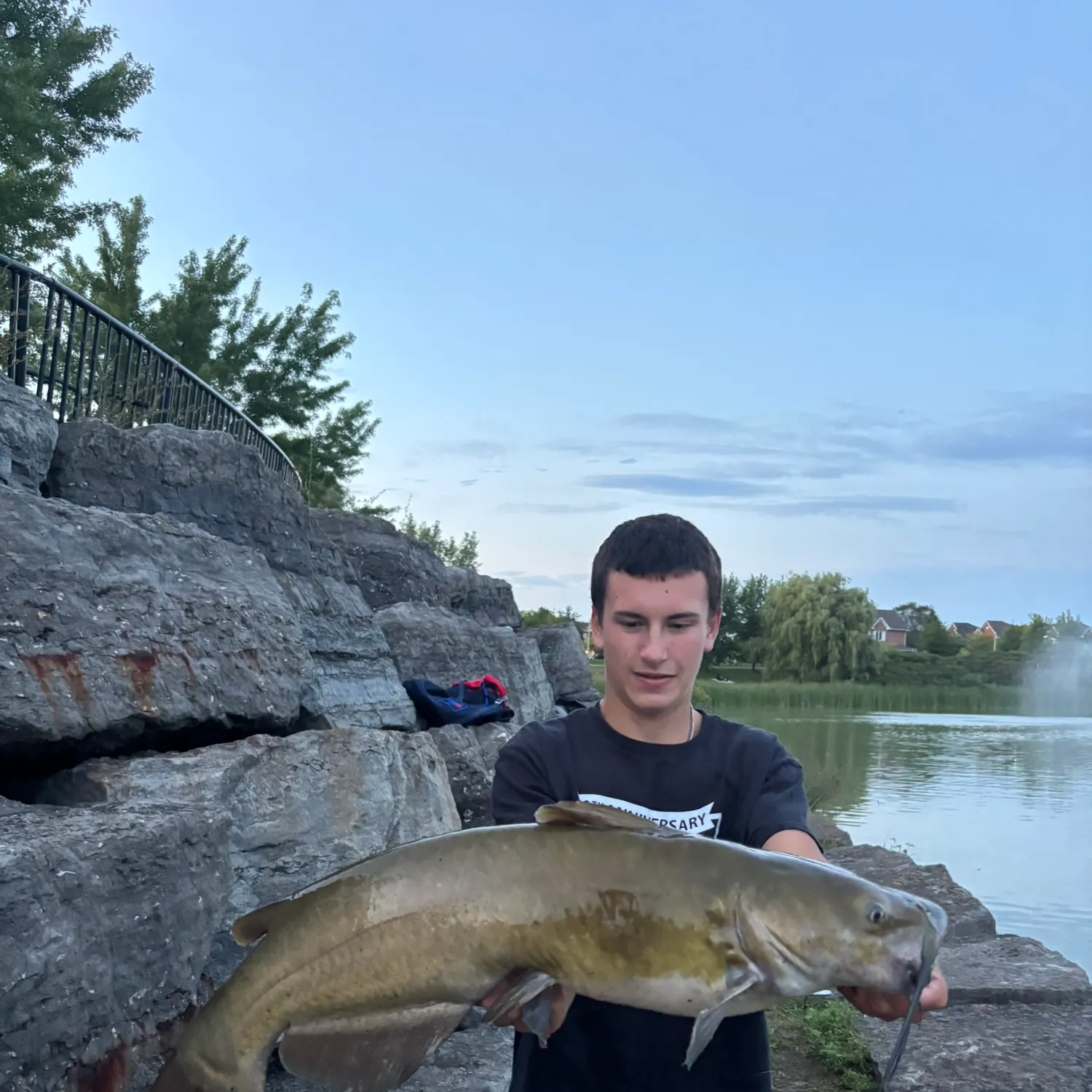 Channel catfish caught on Fishbrain