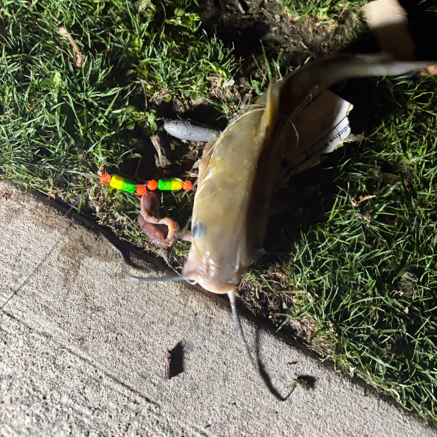 catch