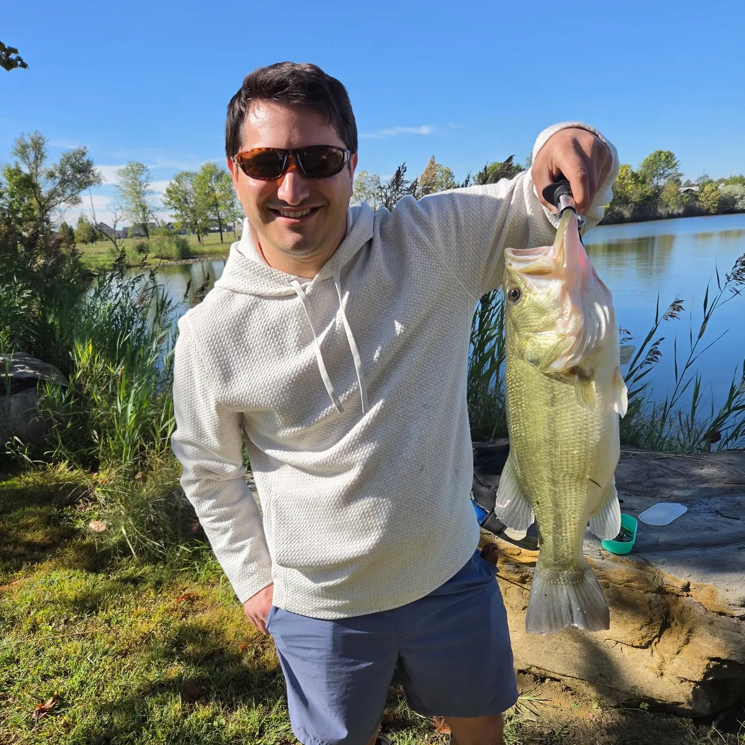 Largemouth bass caught on Fishbrain