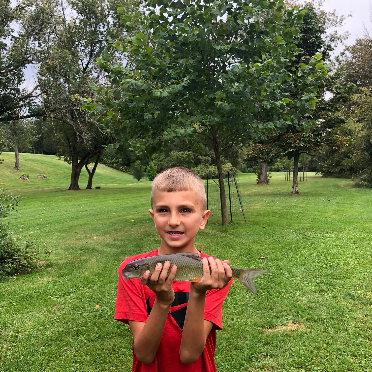 The most recent Smallmouth redhorse catches on Fishbrain