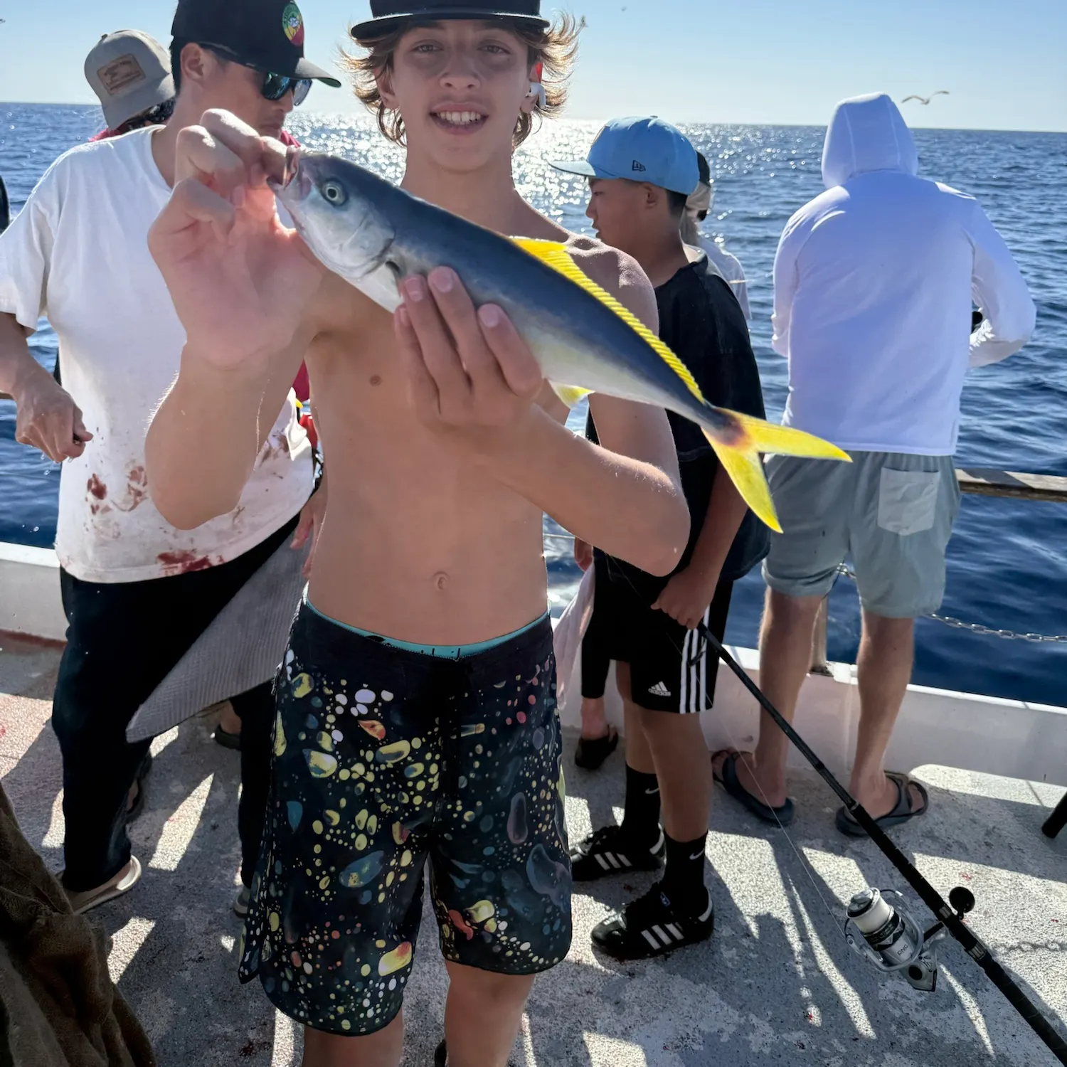 California yellowtail amberjack caught on Fishbrain