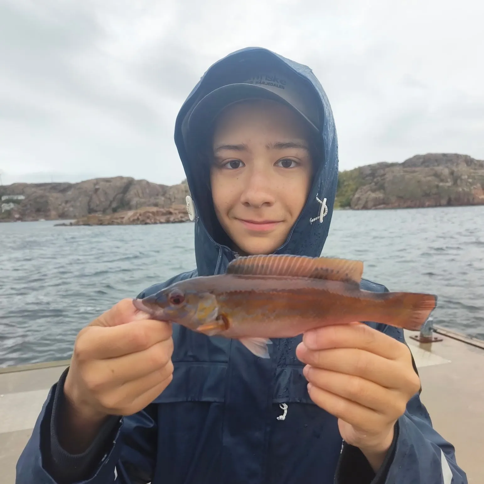 The most recent Cuckoo wrasse catches on Fishbrain
