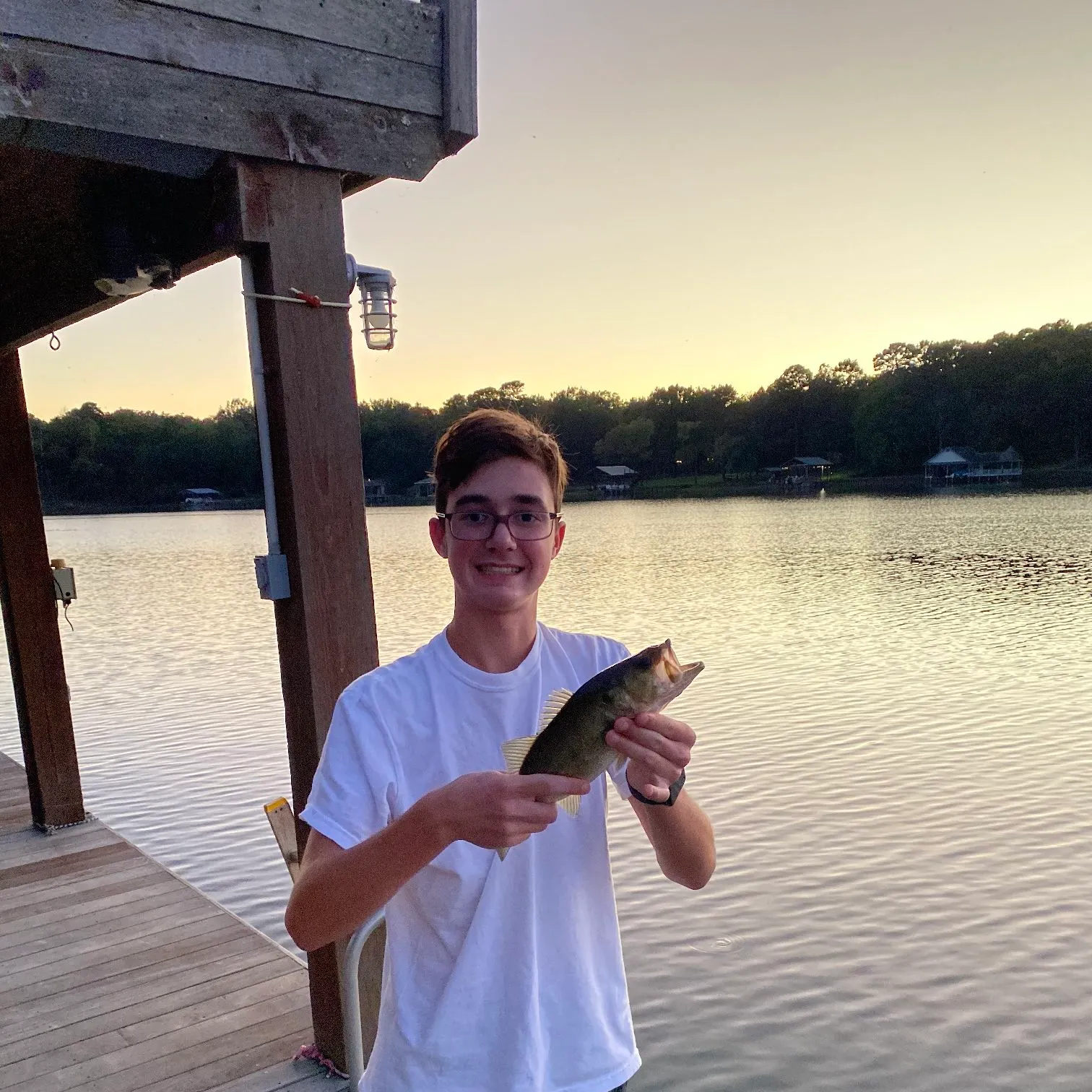 Smallmouth bass caught on Fishbrain