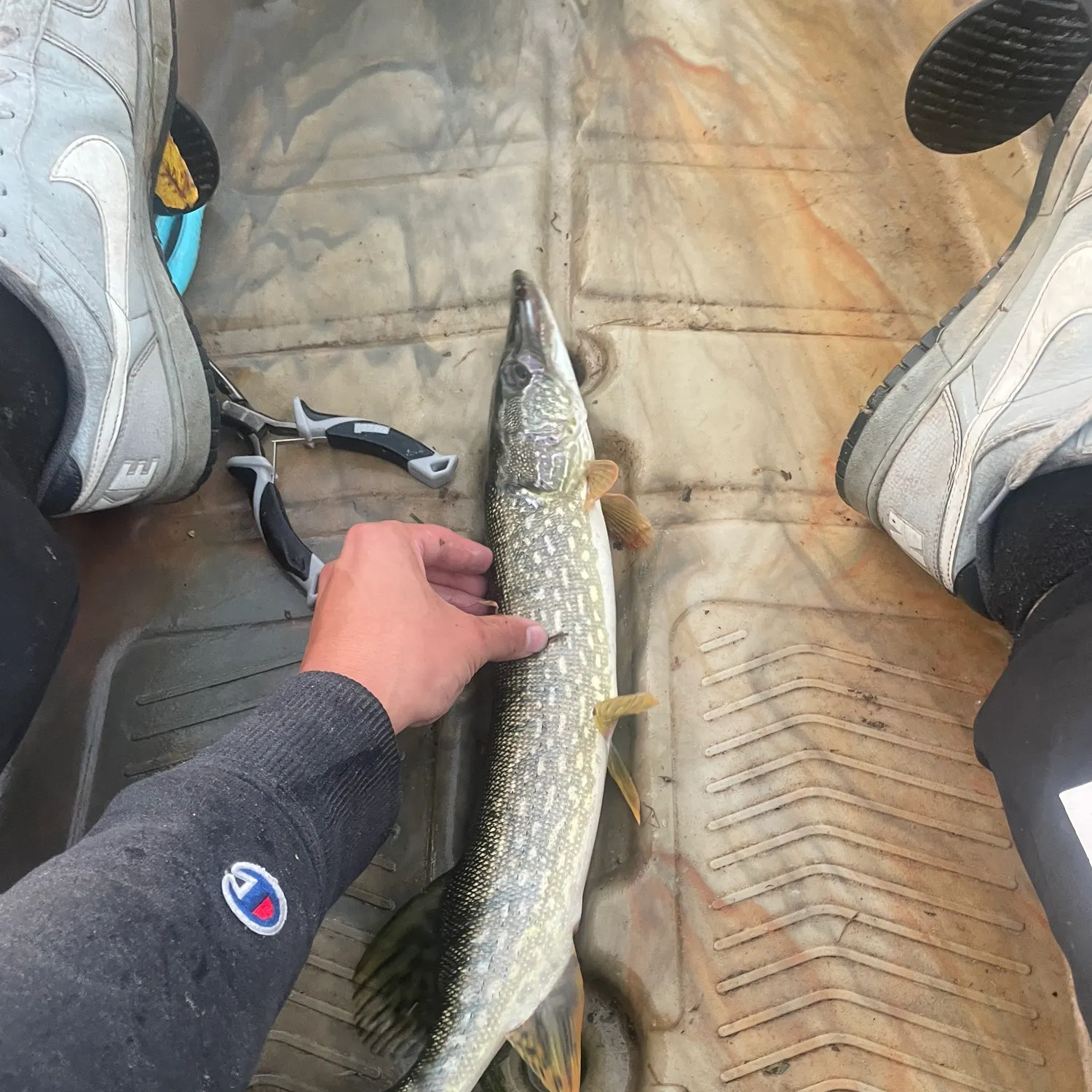 catch