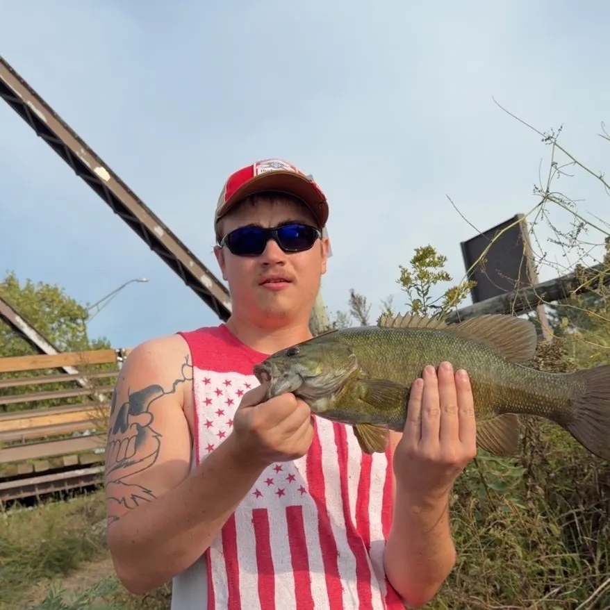 Smallmouth bass caught on Fishbrain