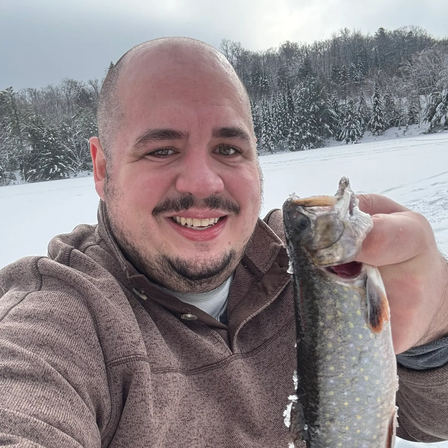 The most recent Brook trout catches on Fishbrain