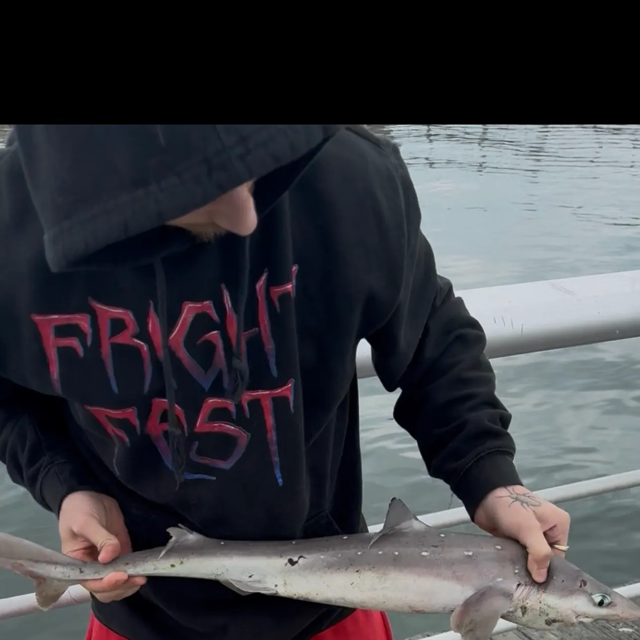 The most recent Pacific spiny dogfish catches on Fishbrain