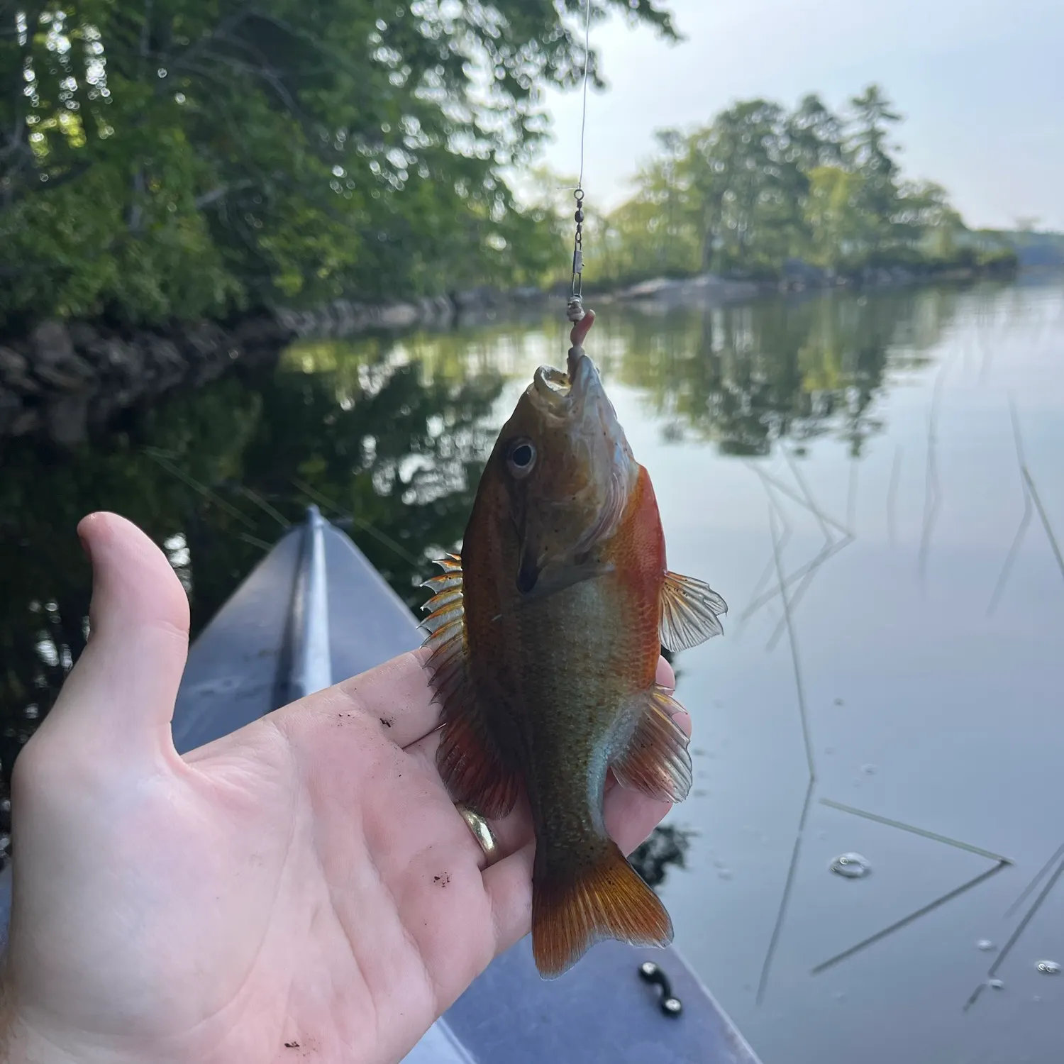 catch