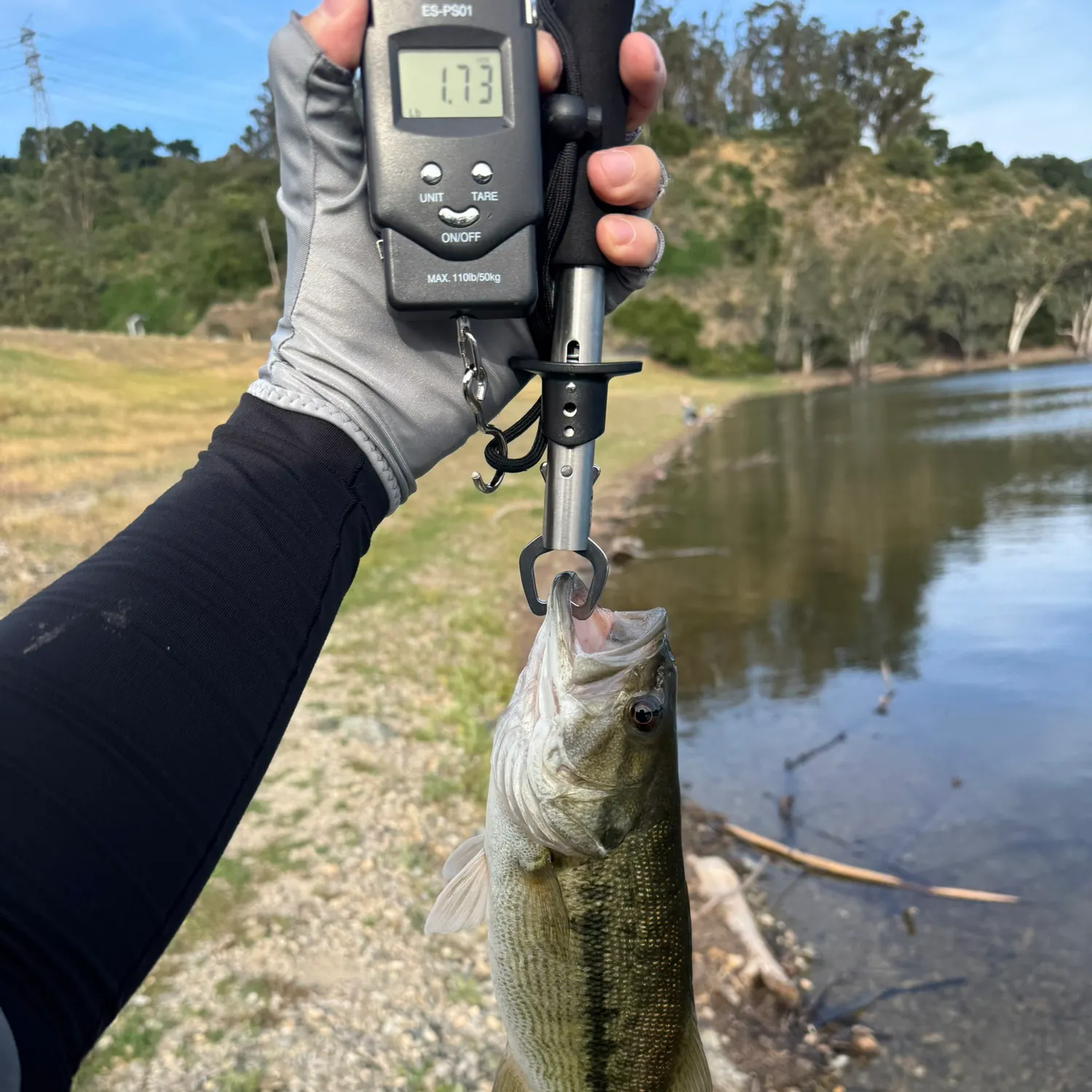 The most recent Spotted bass catches on Fishbrain