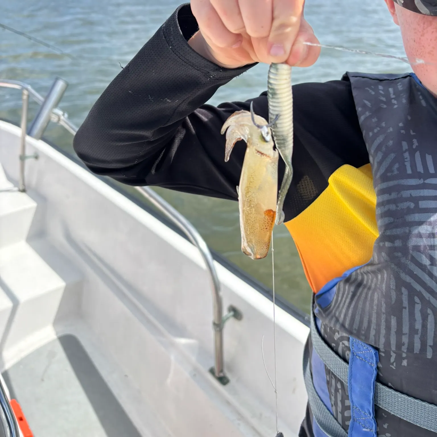The most recent Southern calamari catches on Fishbrain