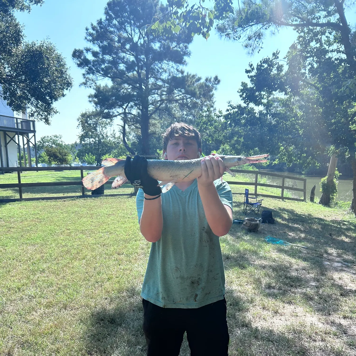 Shortnose gar caught on Fishbrain