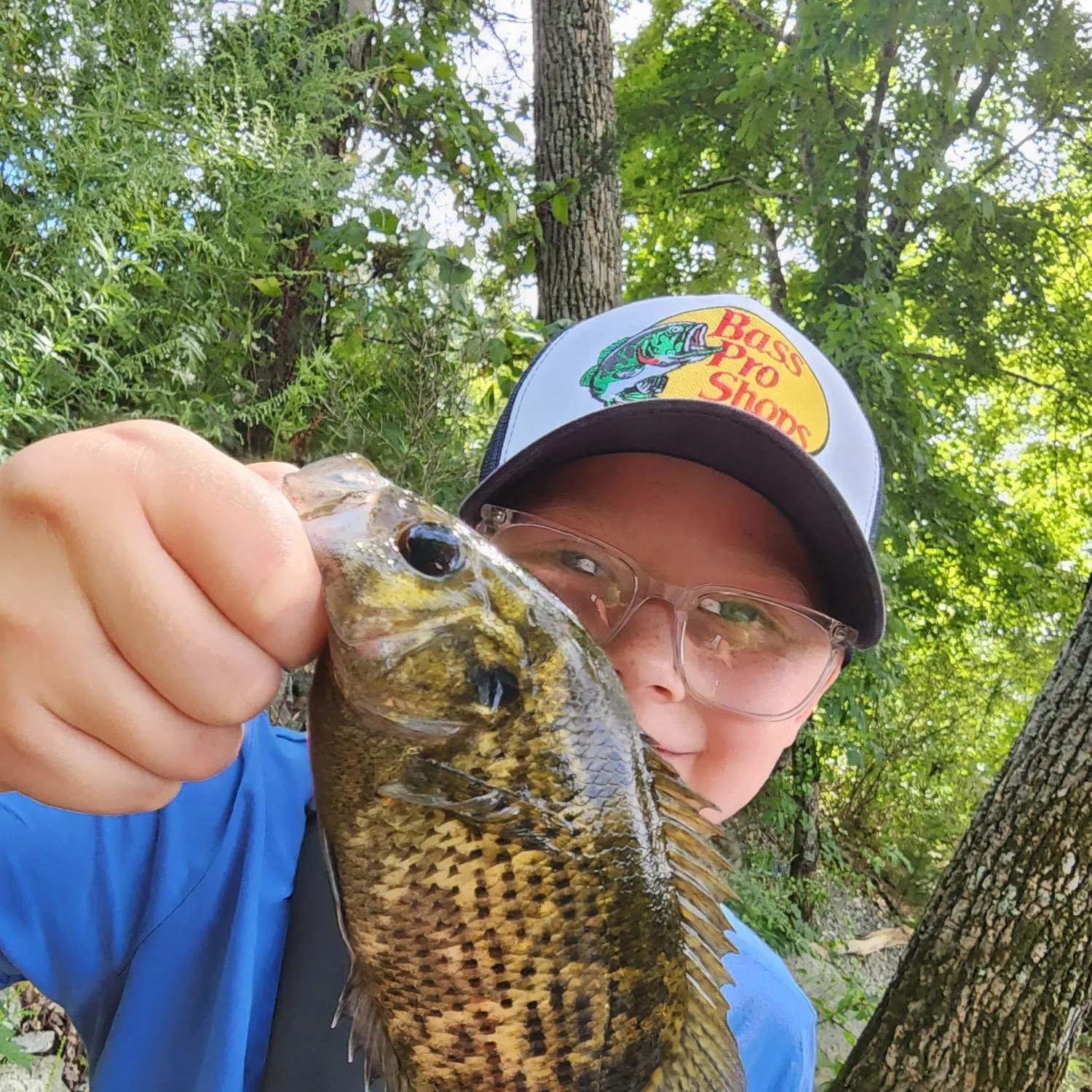 Rock bass caught on Fishbrain