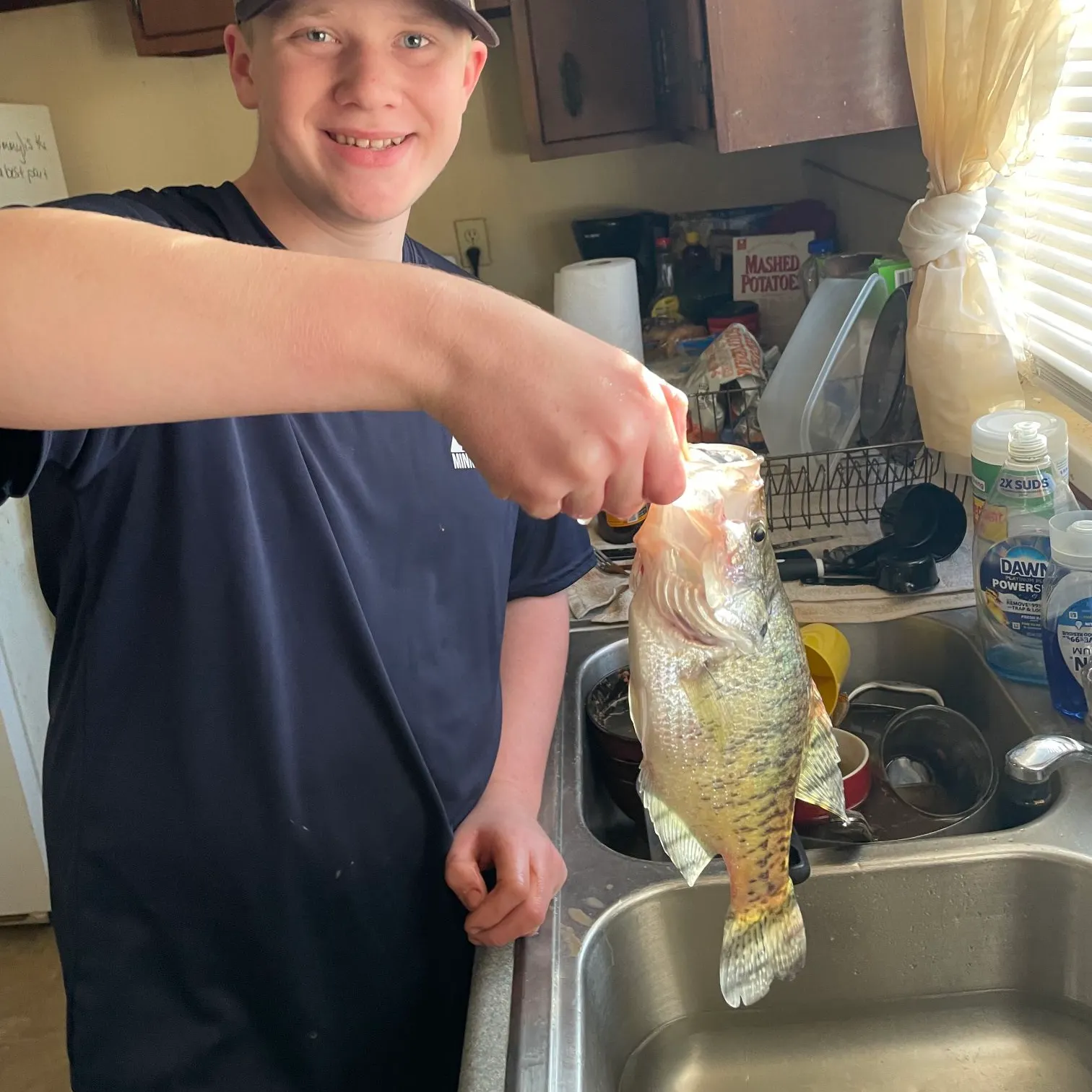 The most recent White crappie catches on Fishbrain