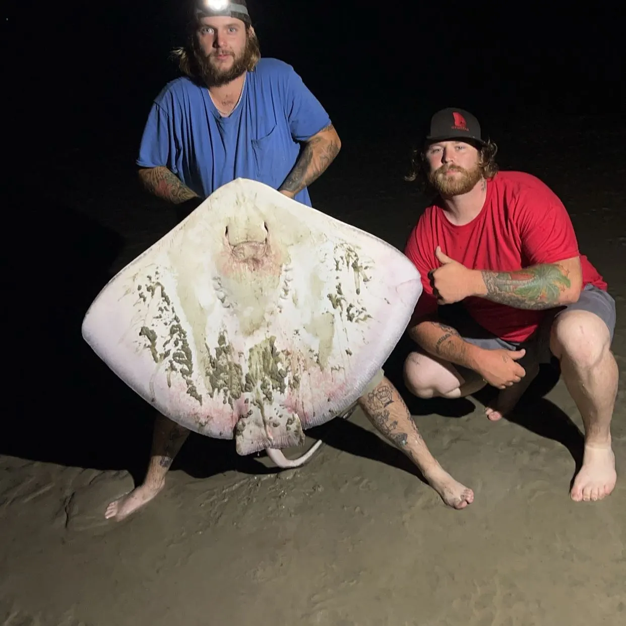 The most recent Southern stingray catches on Fishbrain