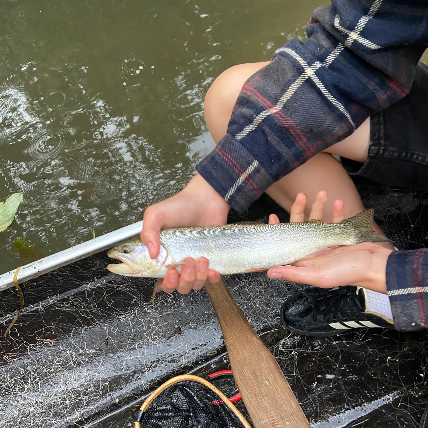 The most recent Cutbow catches on Fishbrain