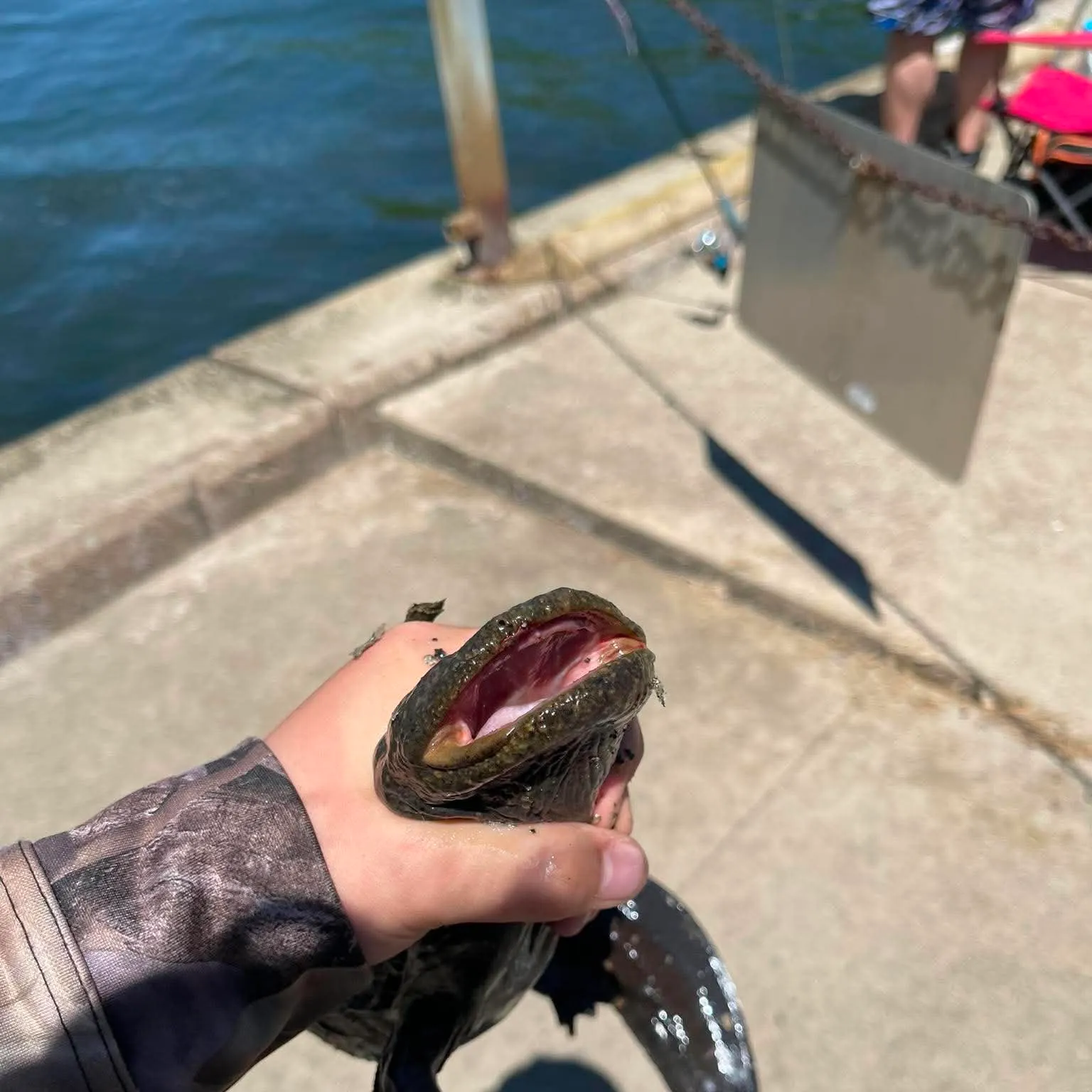 catch