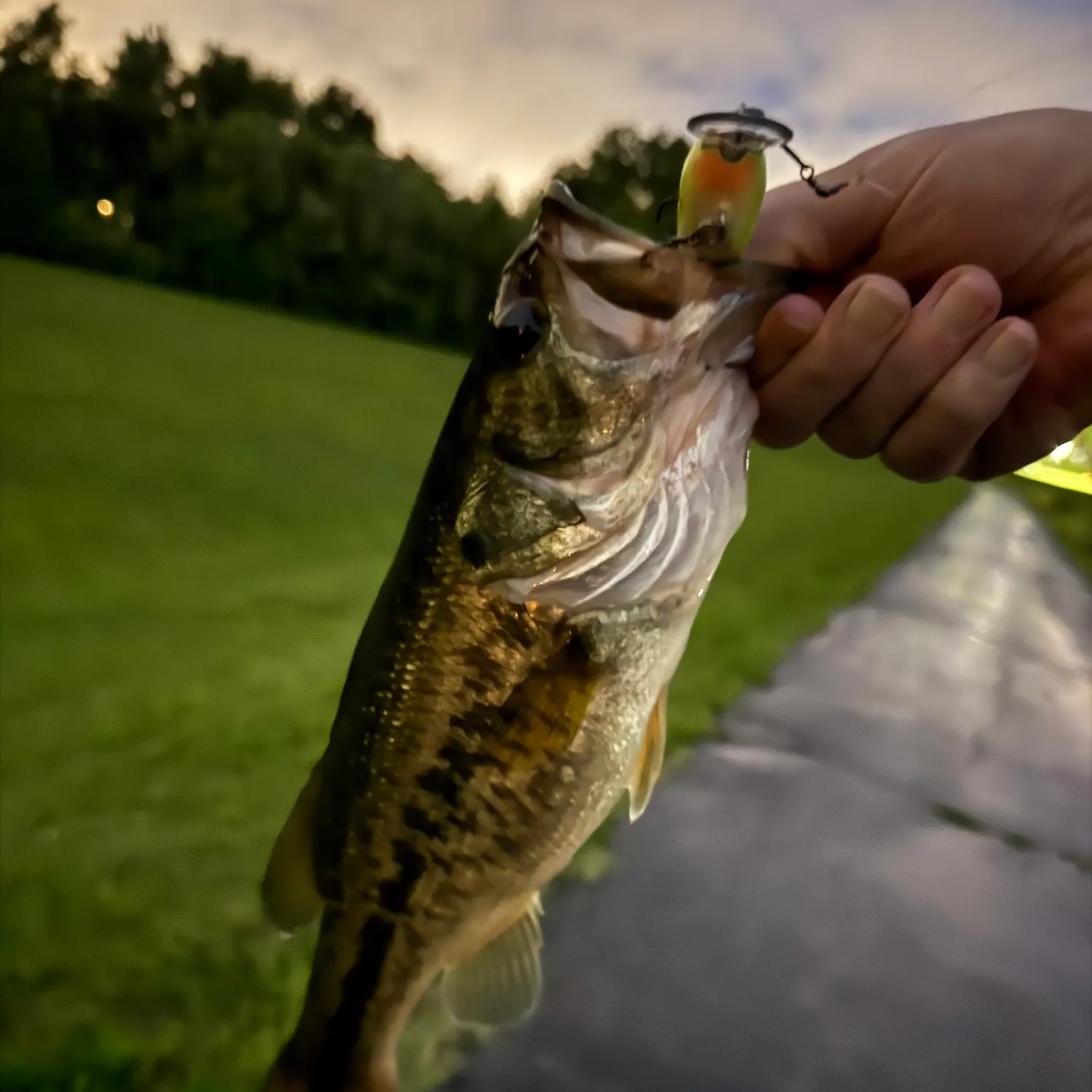 catch