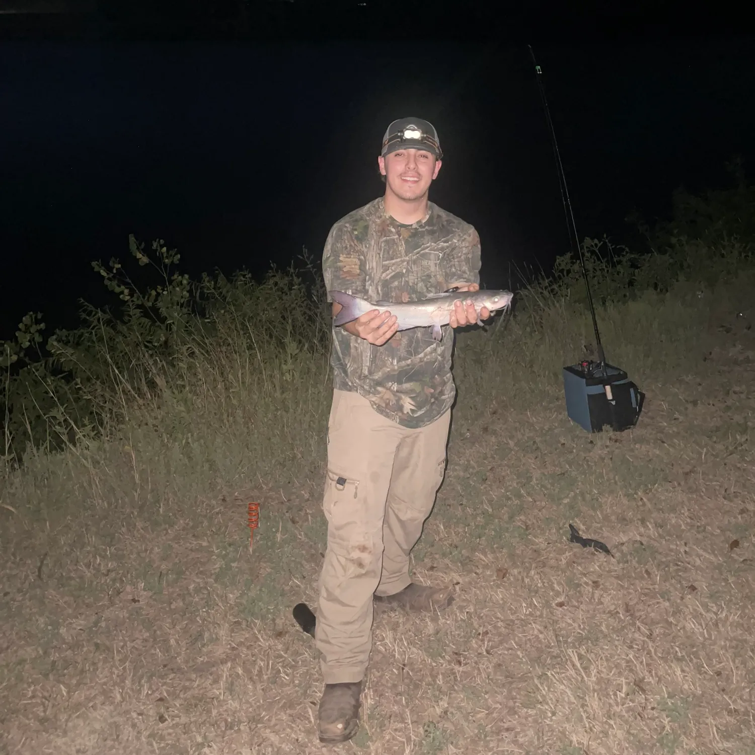 Blue catfish caught on Fishbrain