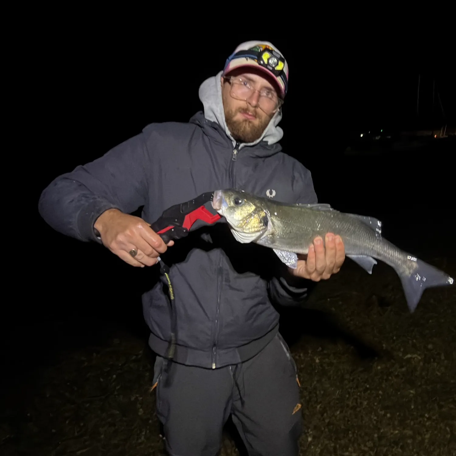 European seabass caught on Fishbrain