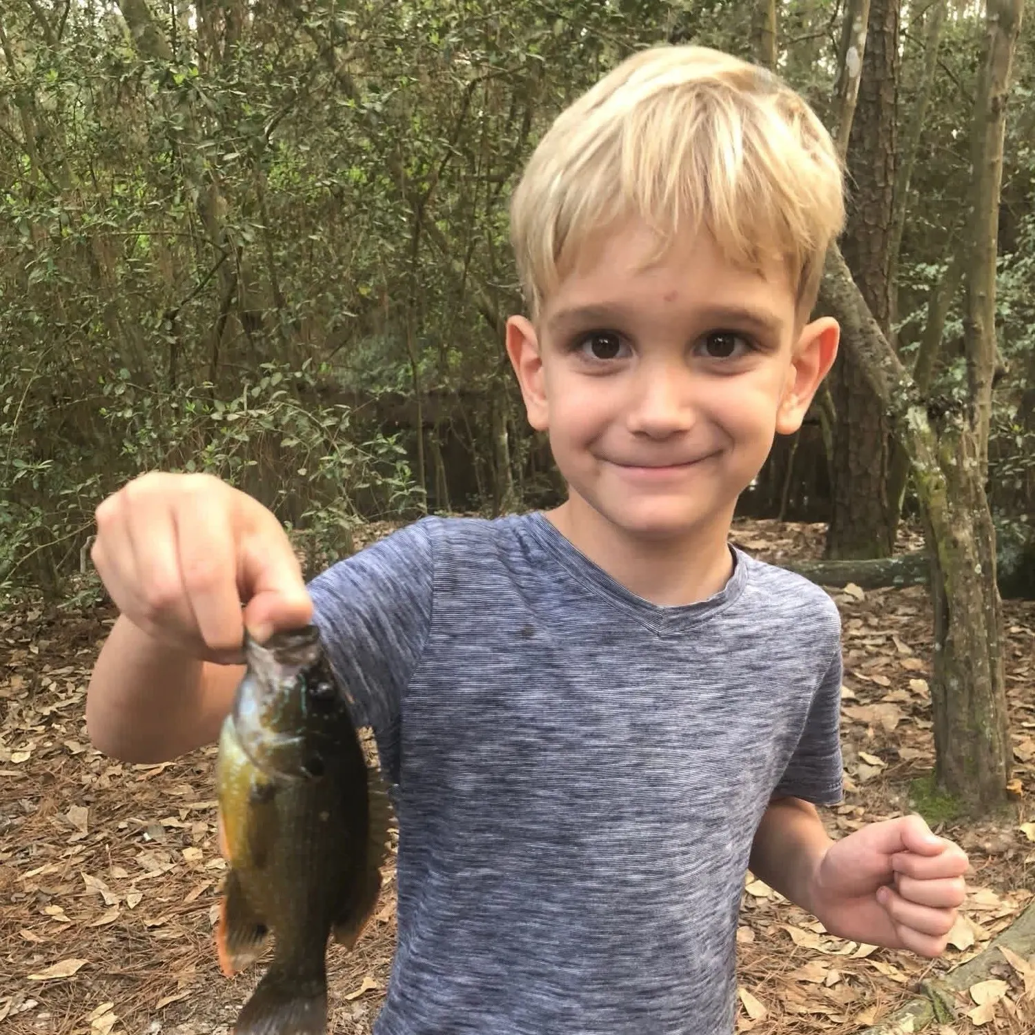 The most recent Redspotted sunfish catches on Fishbrain