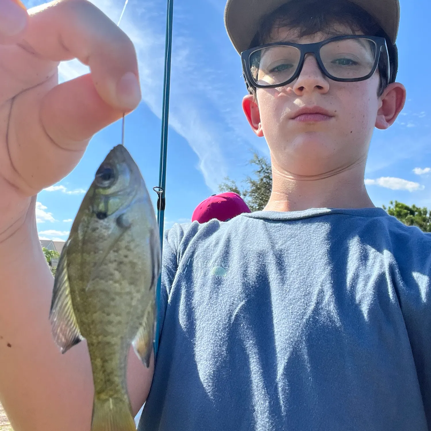 Bluegill caught on Fishbrain