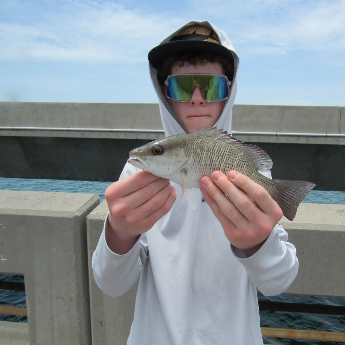 Mangrove snapper caught on Fishbrain